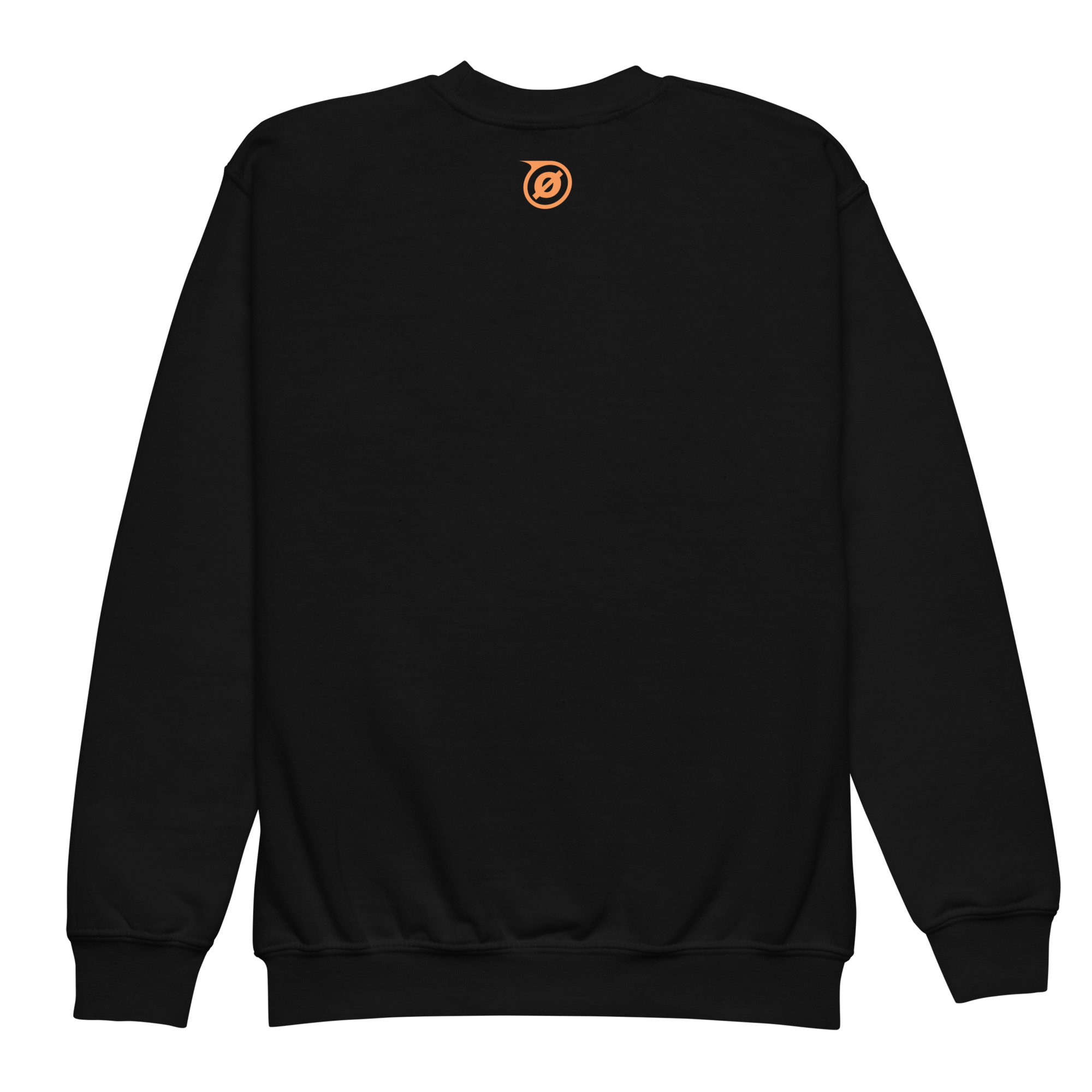 youth-crew-neck-sweatshirt-black-back-69f912f3550a8.png