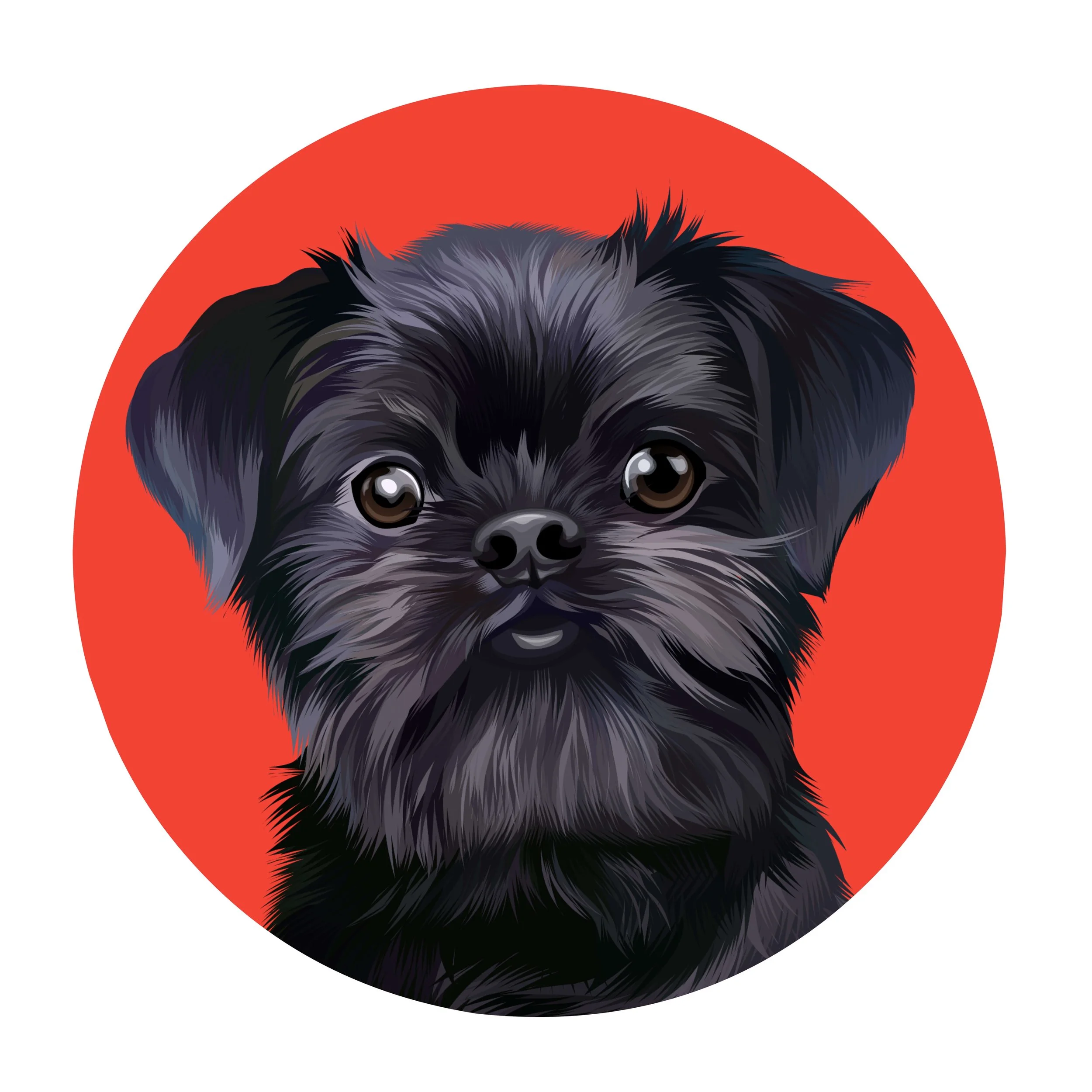 Spectrum Services Queensland Therapist Dog Pingu