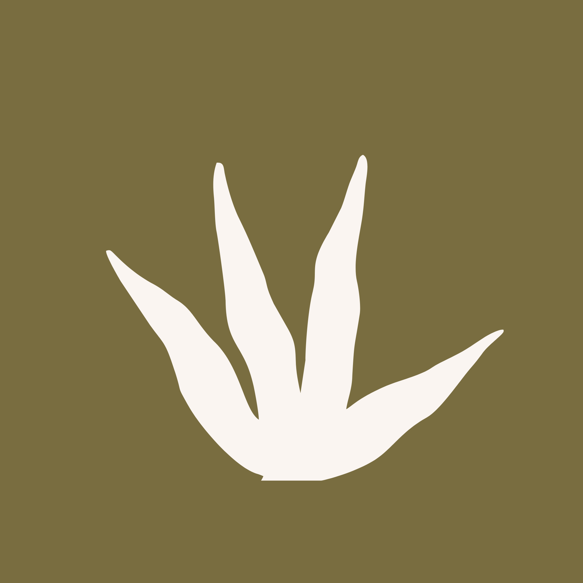 Landscape Designer Sydney Sutherland Shire
