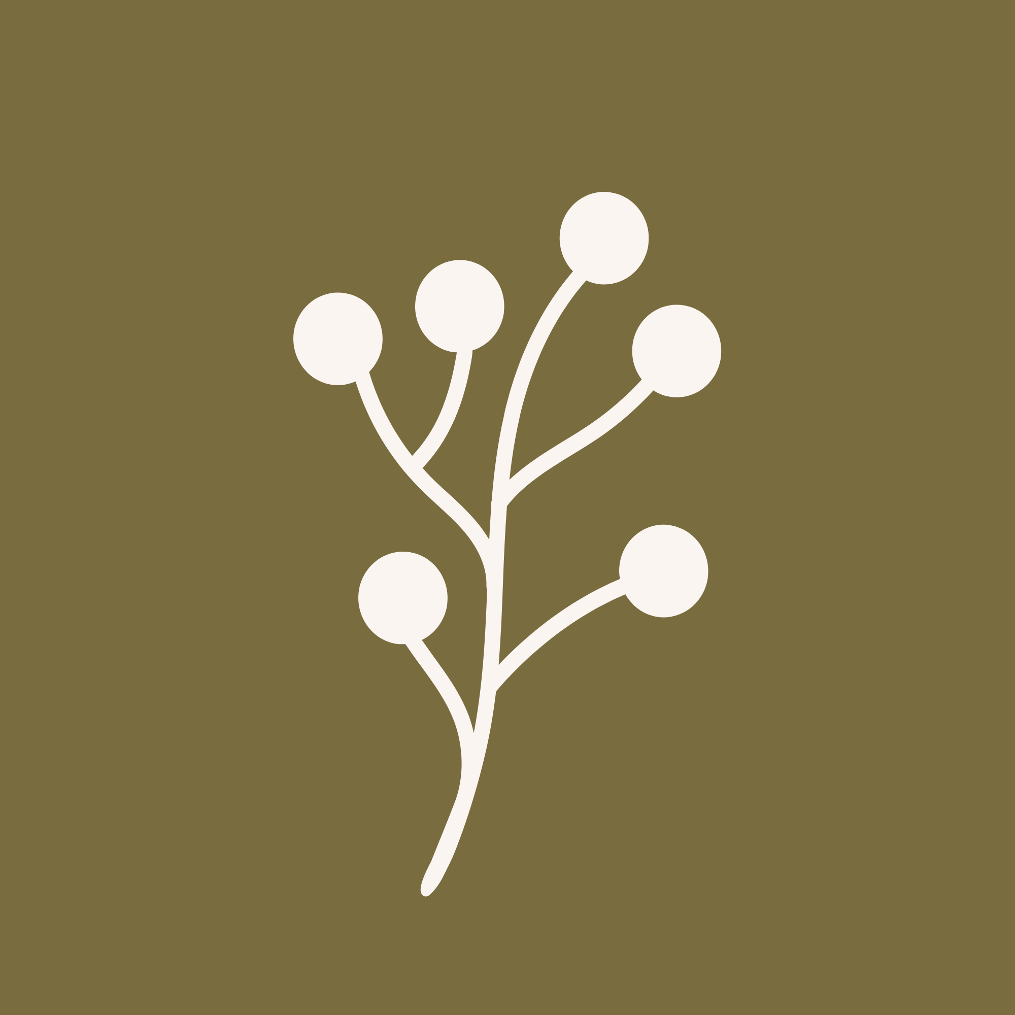 Landscape Designer Sydney Sutherland Shire