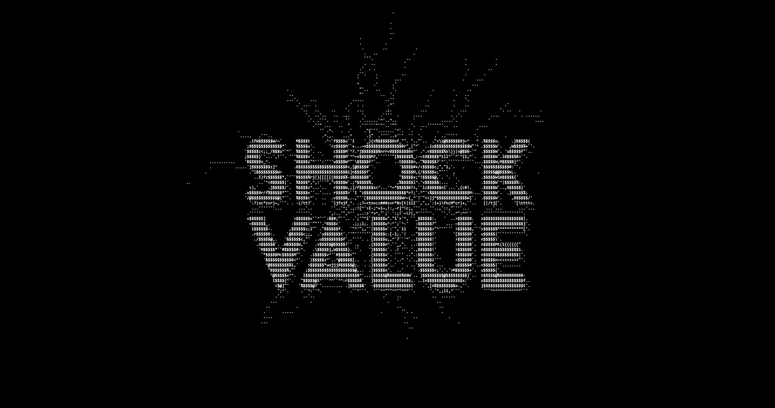 ASCII SV logo.jpg