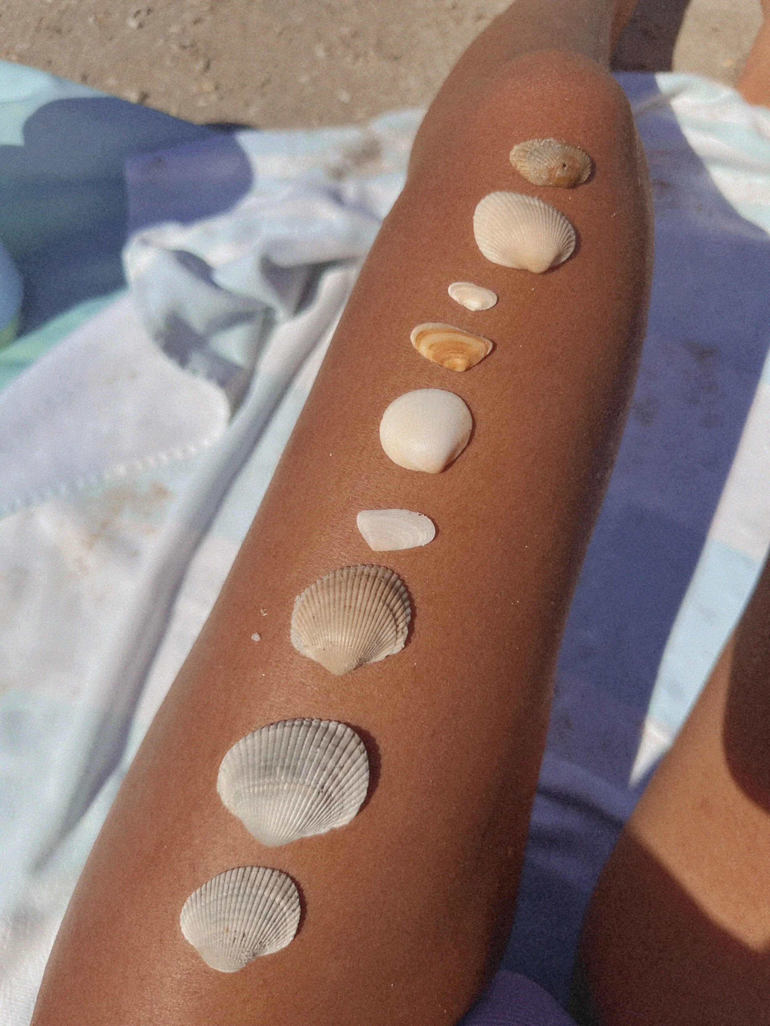 A person's arm with various seashells arranged in a vertical line along the forearm, resting on a beach towel.