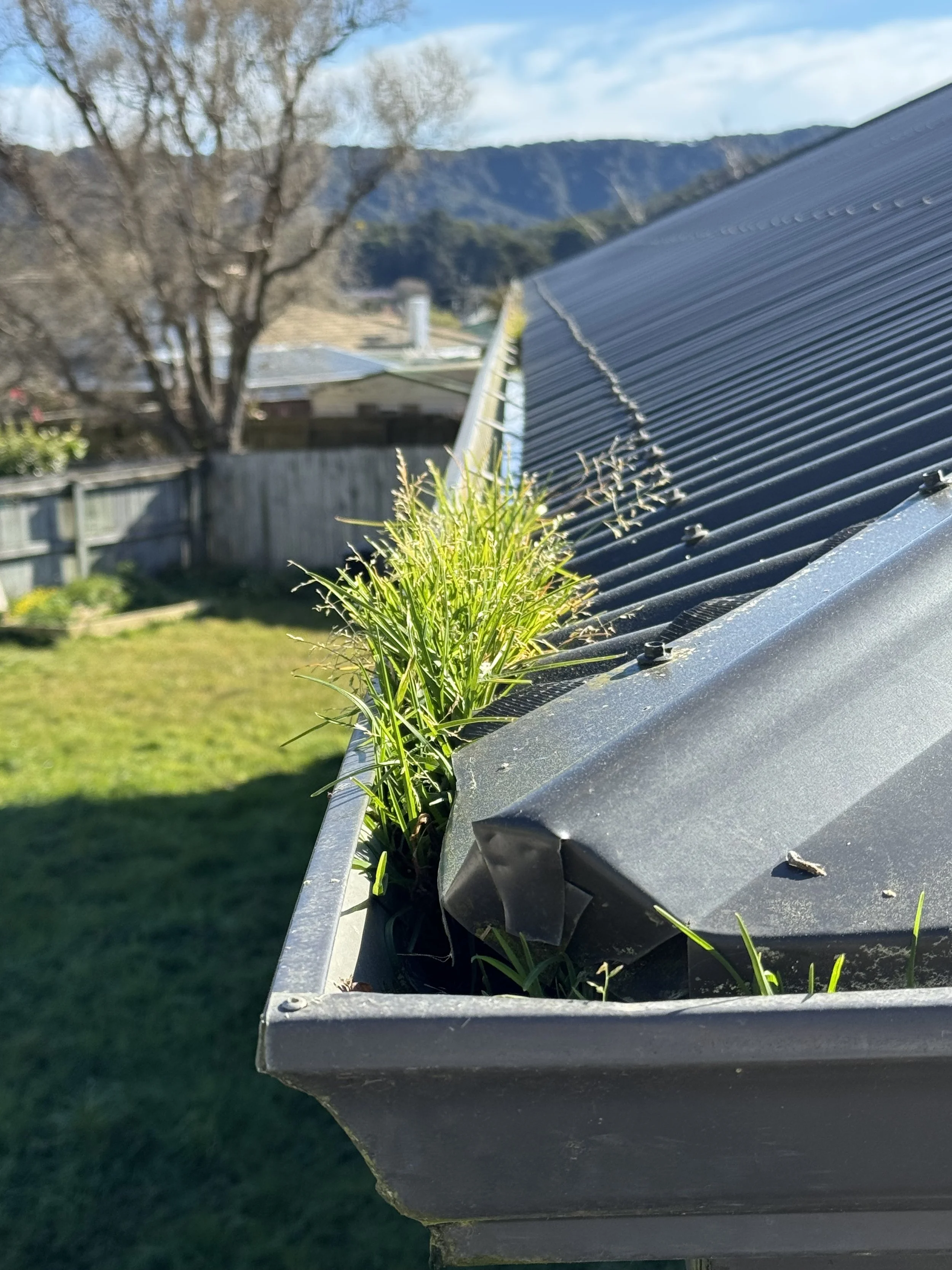 Gutter damage, gutter cleaning