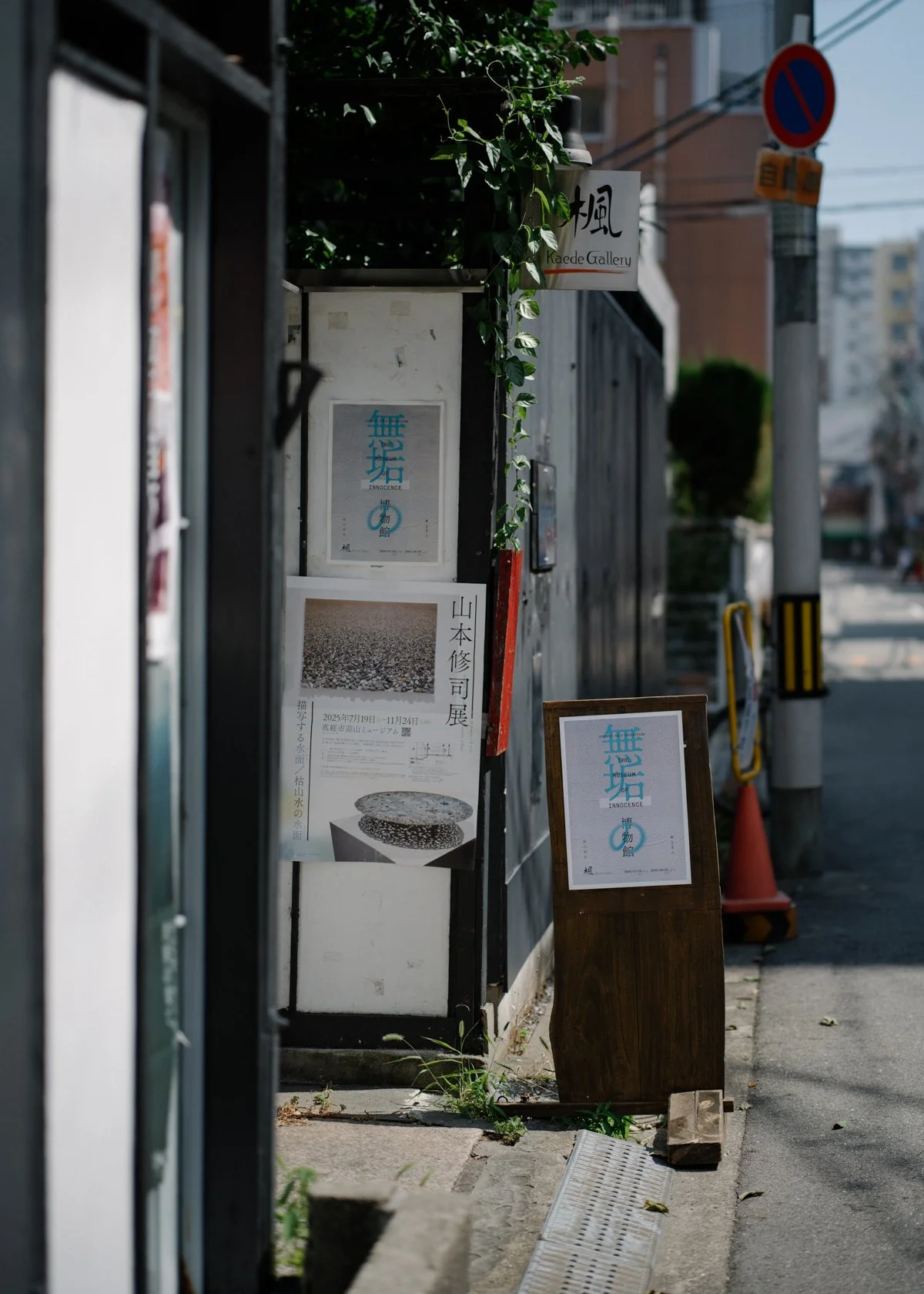 B0000854.jpg