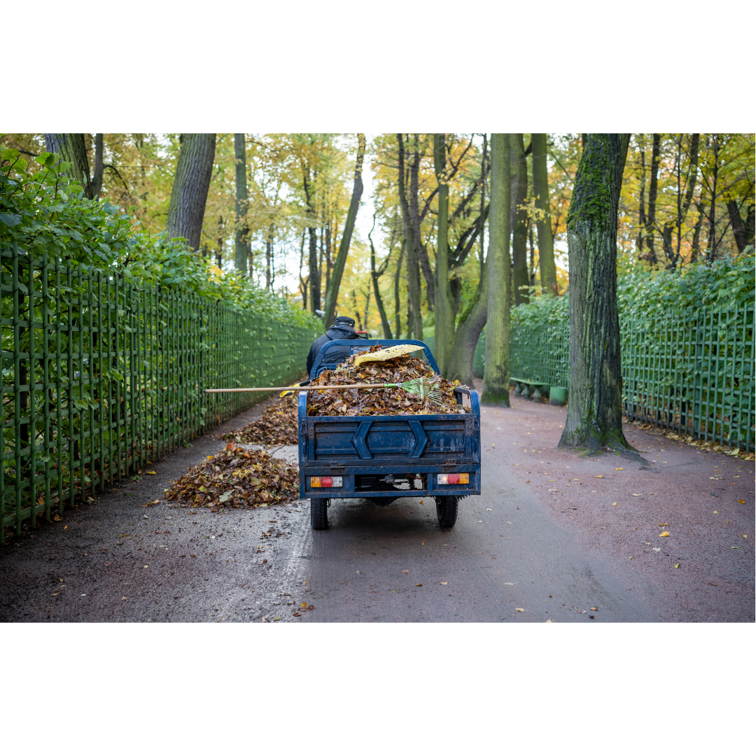 Fall Cleanup Starts Now: How to Prep with a Dumpster
