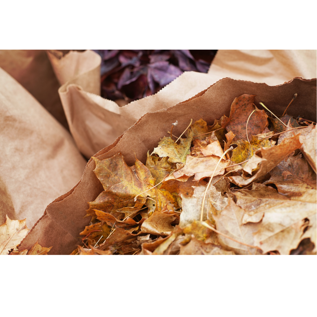 Your Fall Cleaning Checklist (And Why a Dumpster Helps)