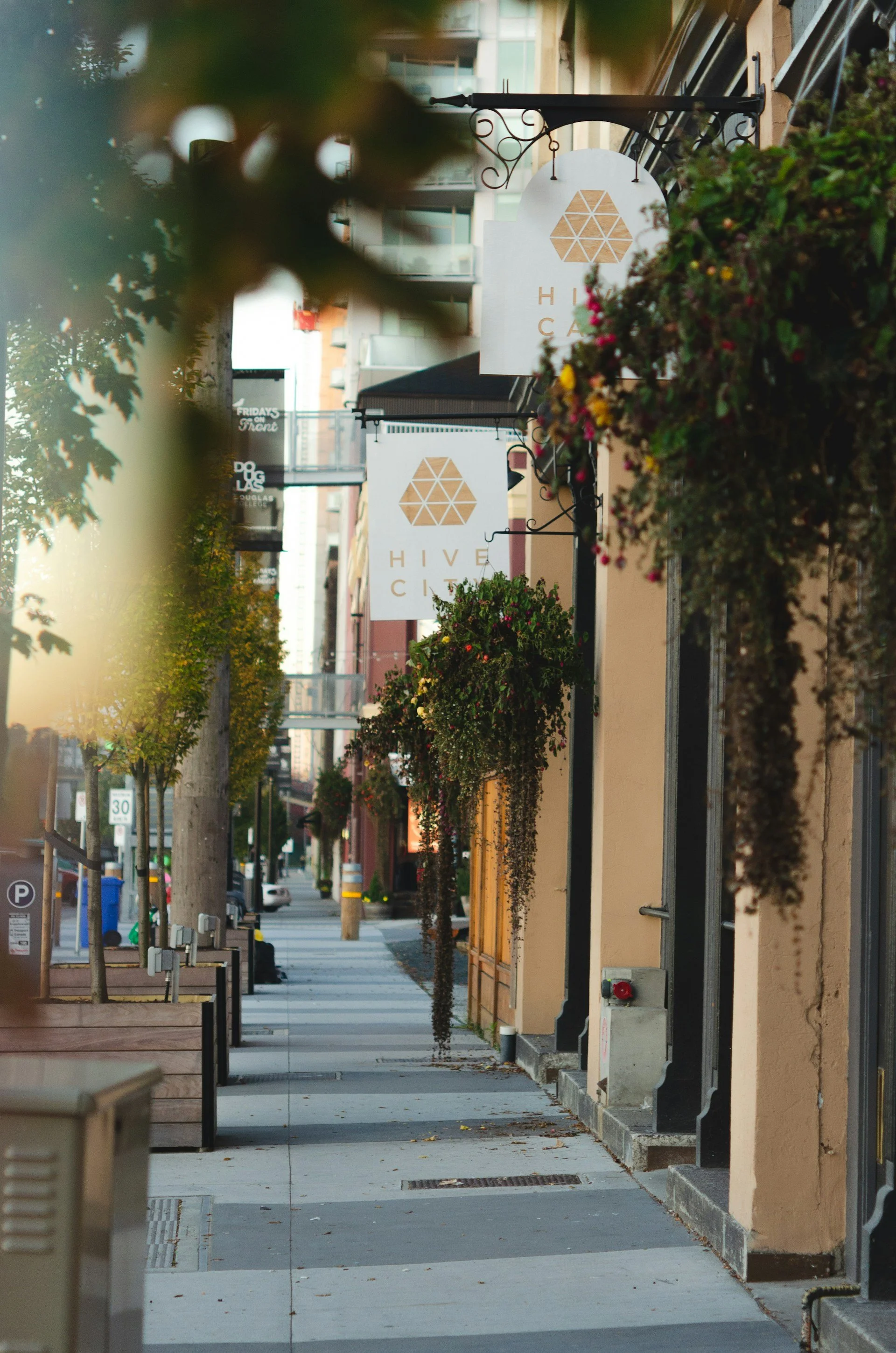 Empty city sidewalk lined with hanging flower baskets and signs for Hive City establishments.