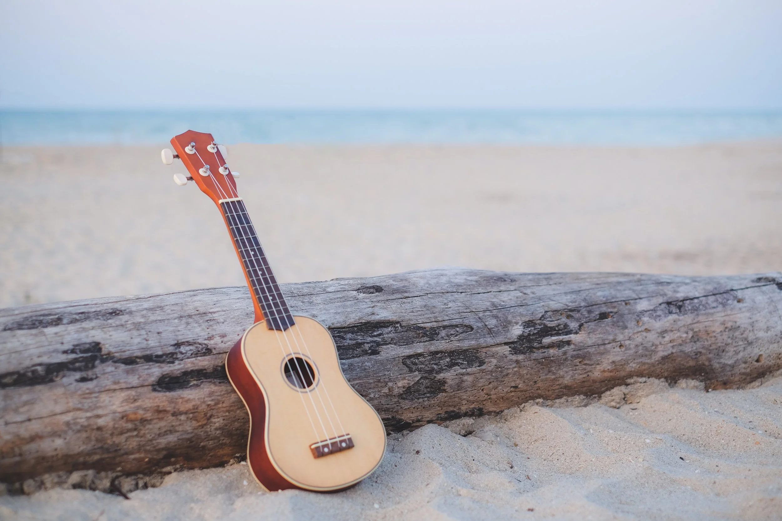 guitar on beach Ocean Ave Singer Island live music