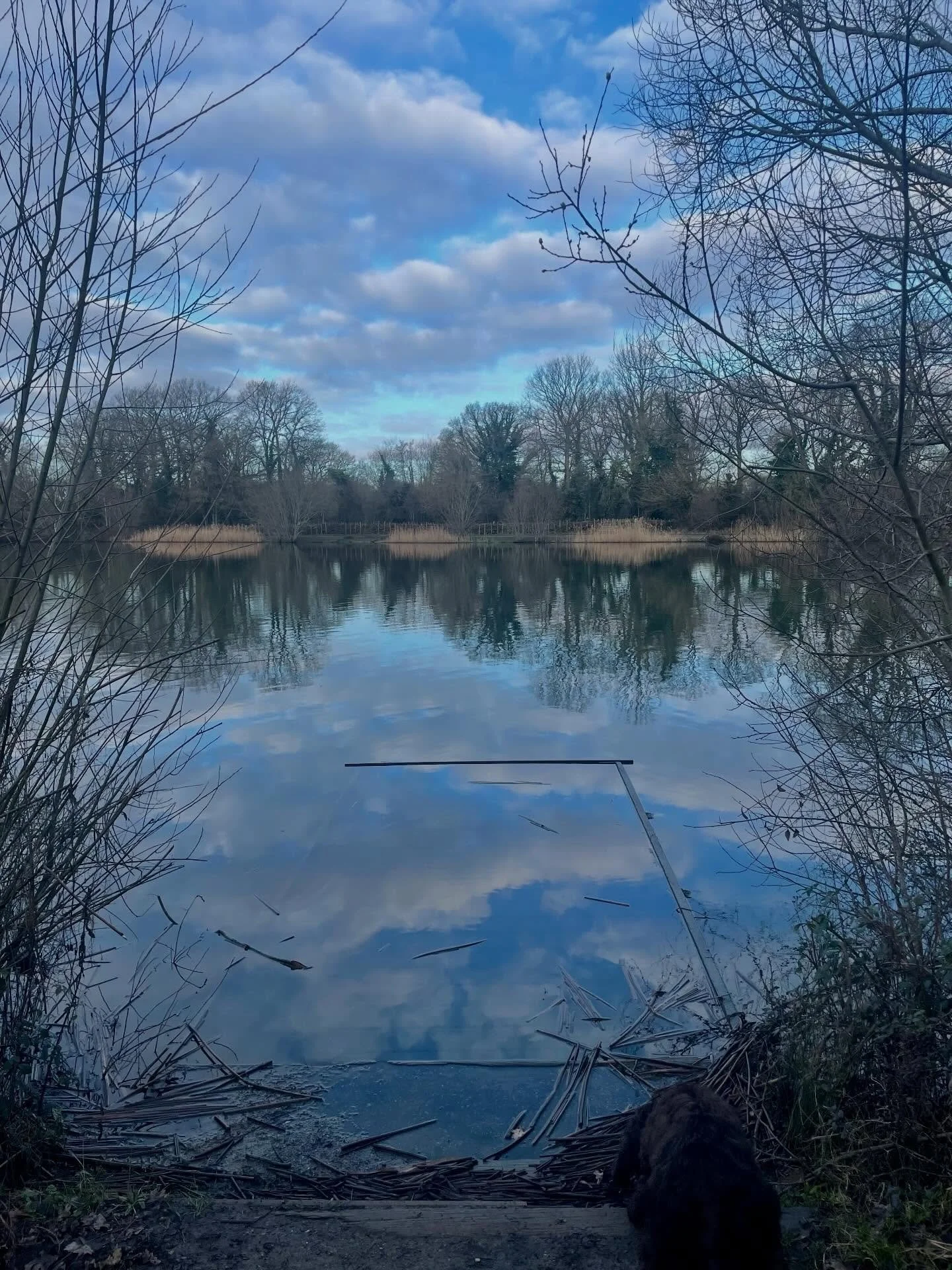 Remember when we used to just share a beautiful picture because it was a moment we wanted to capture?

For beauty&rsquo;s sake. ❤️