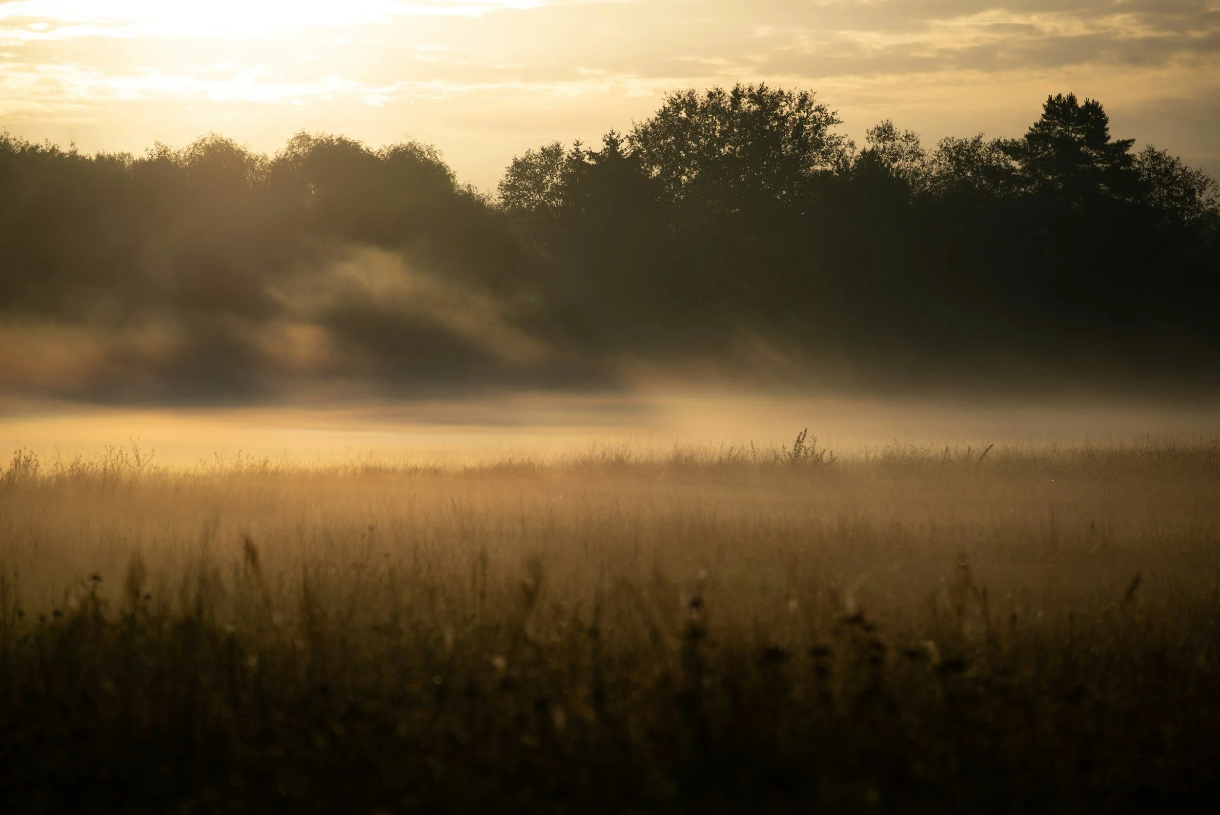 Rise - Women's Circle