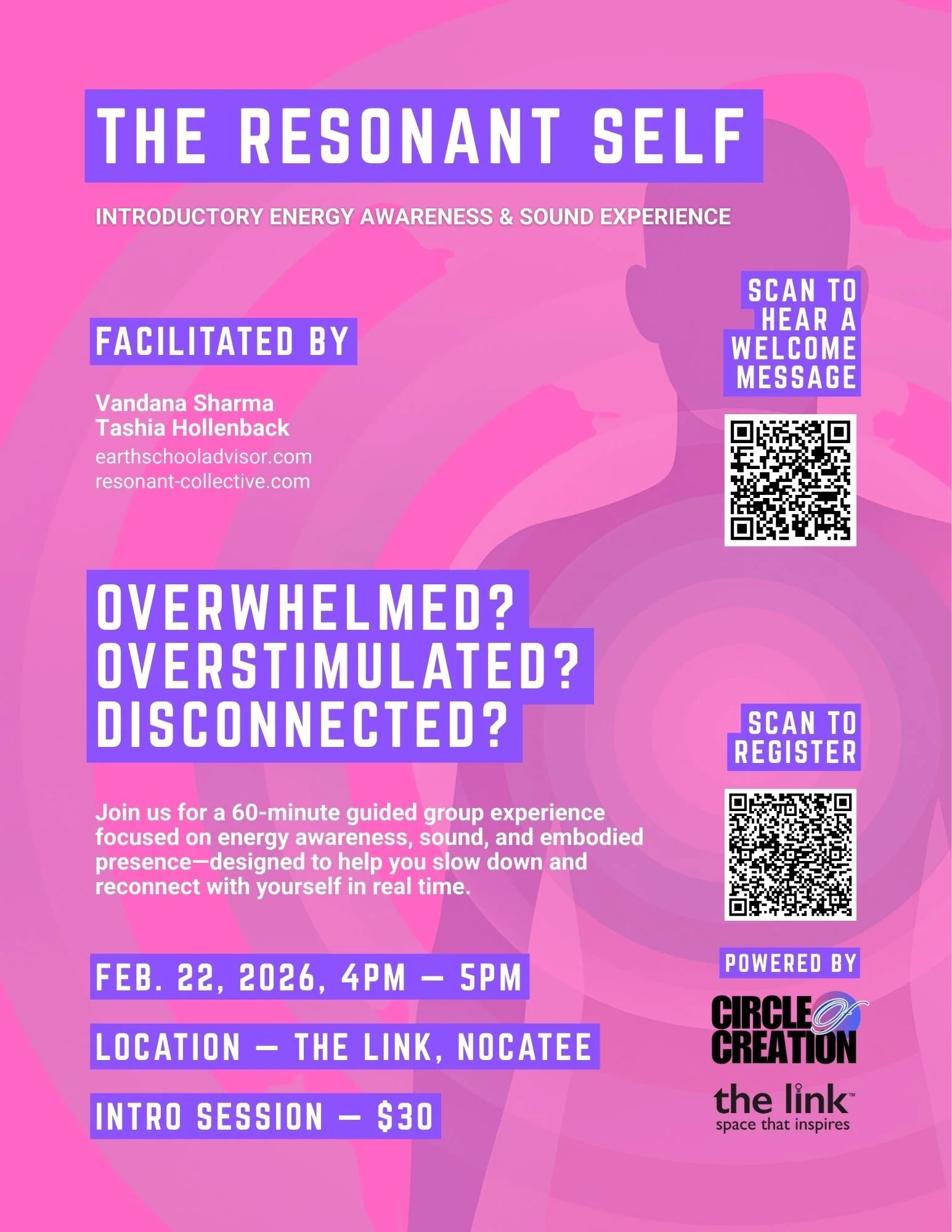 The Resonant Self - Energy Awareness & Sound Experience