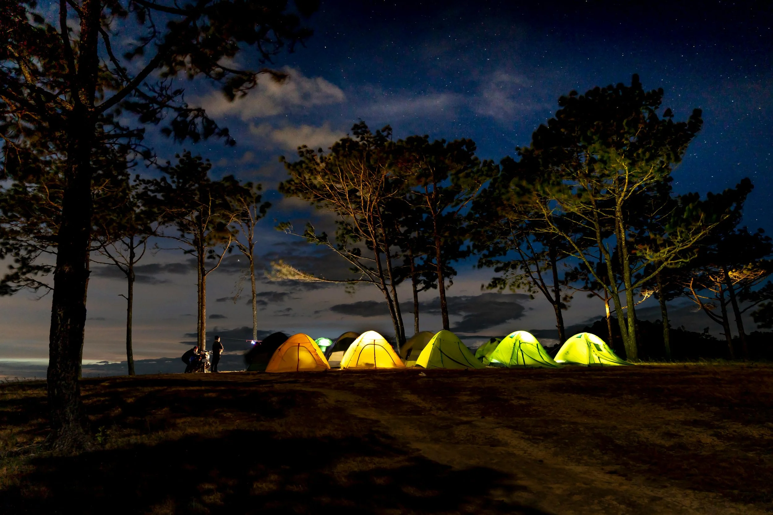 Nighttime scene of a camping site with several illuminated tents beneath trees, with a starry sky and a few clouds overhead.