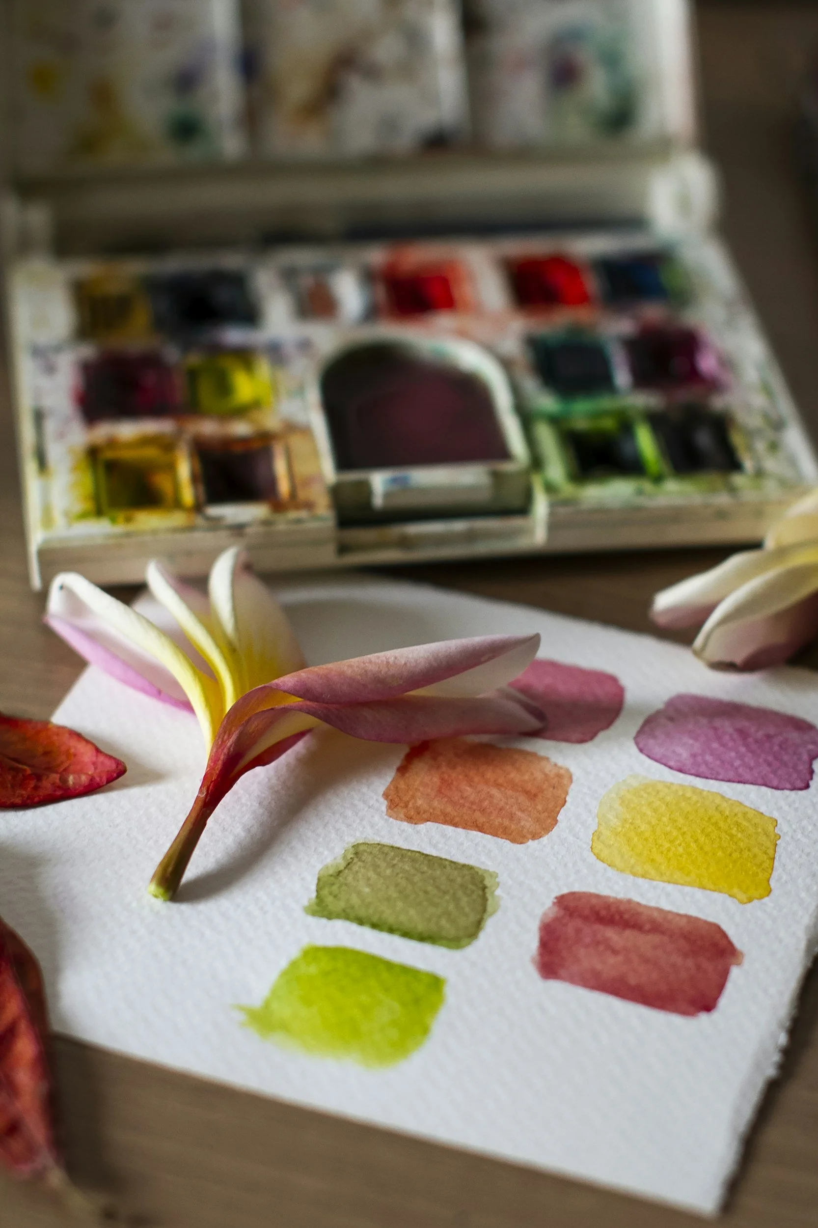 Shamanic watercolour workshop