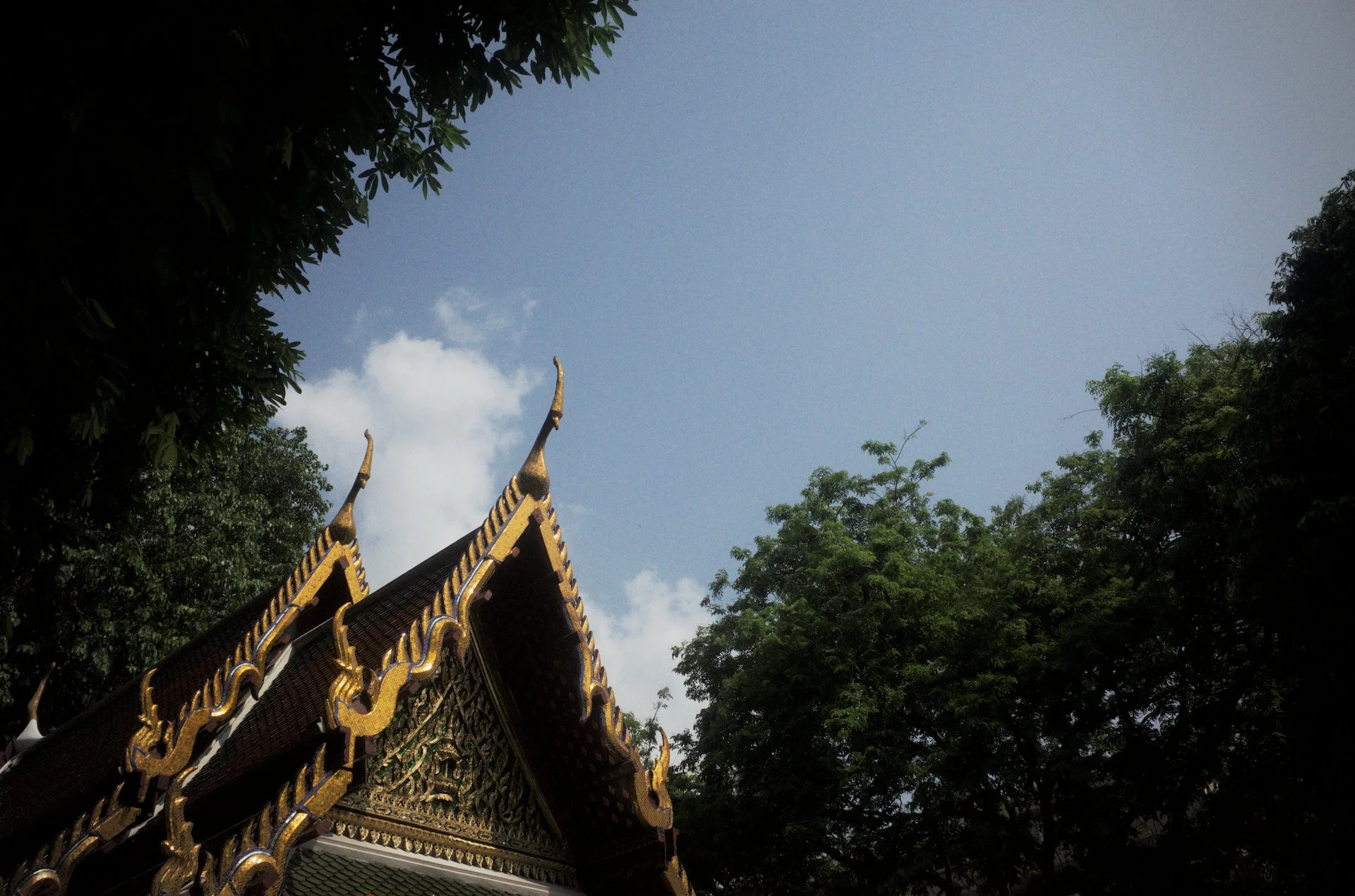 R0010121.jpg