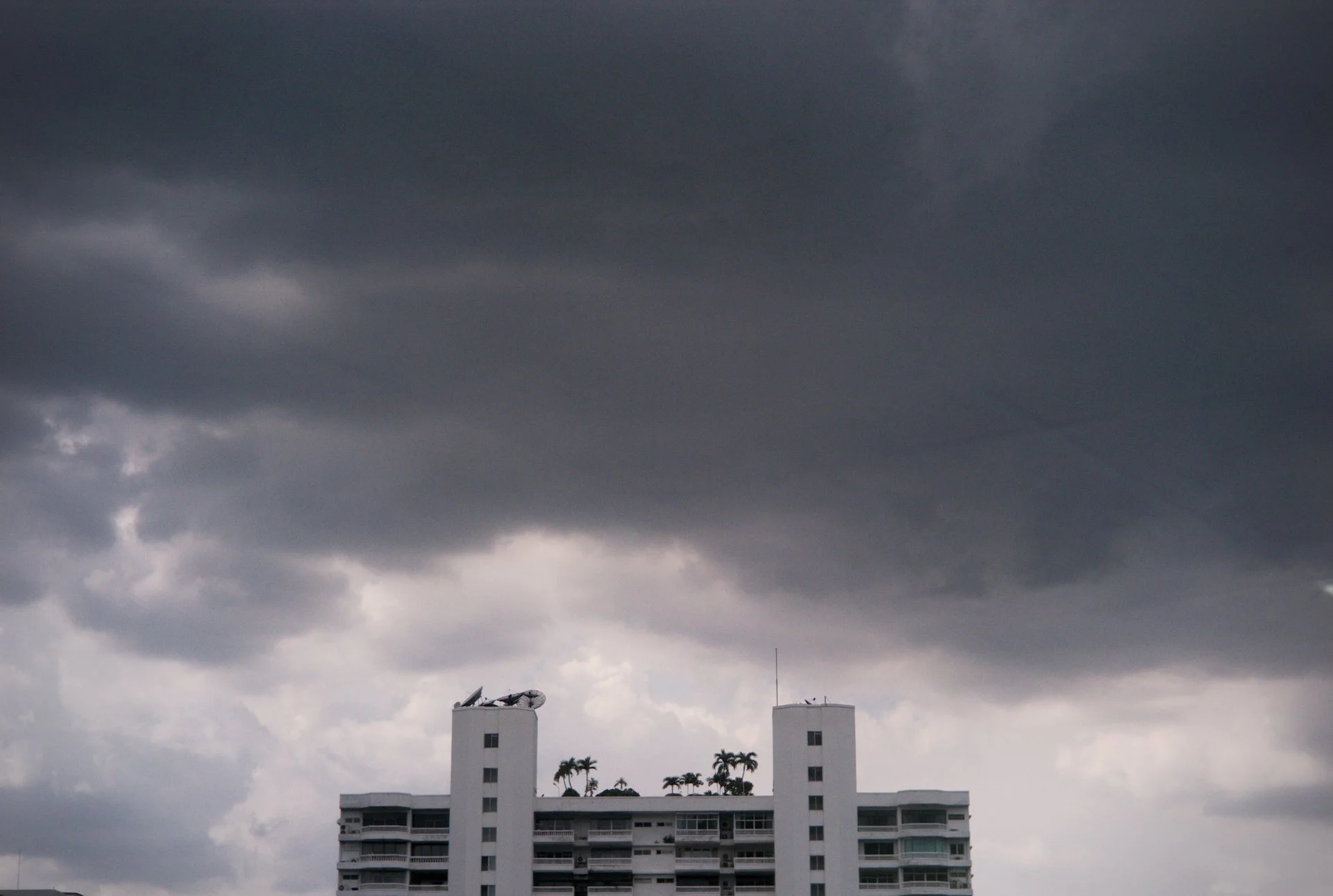 L1032352.jpg