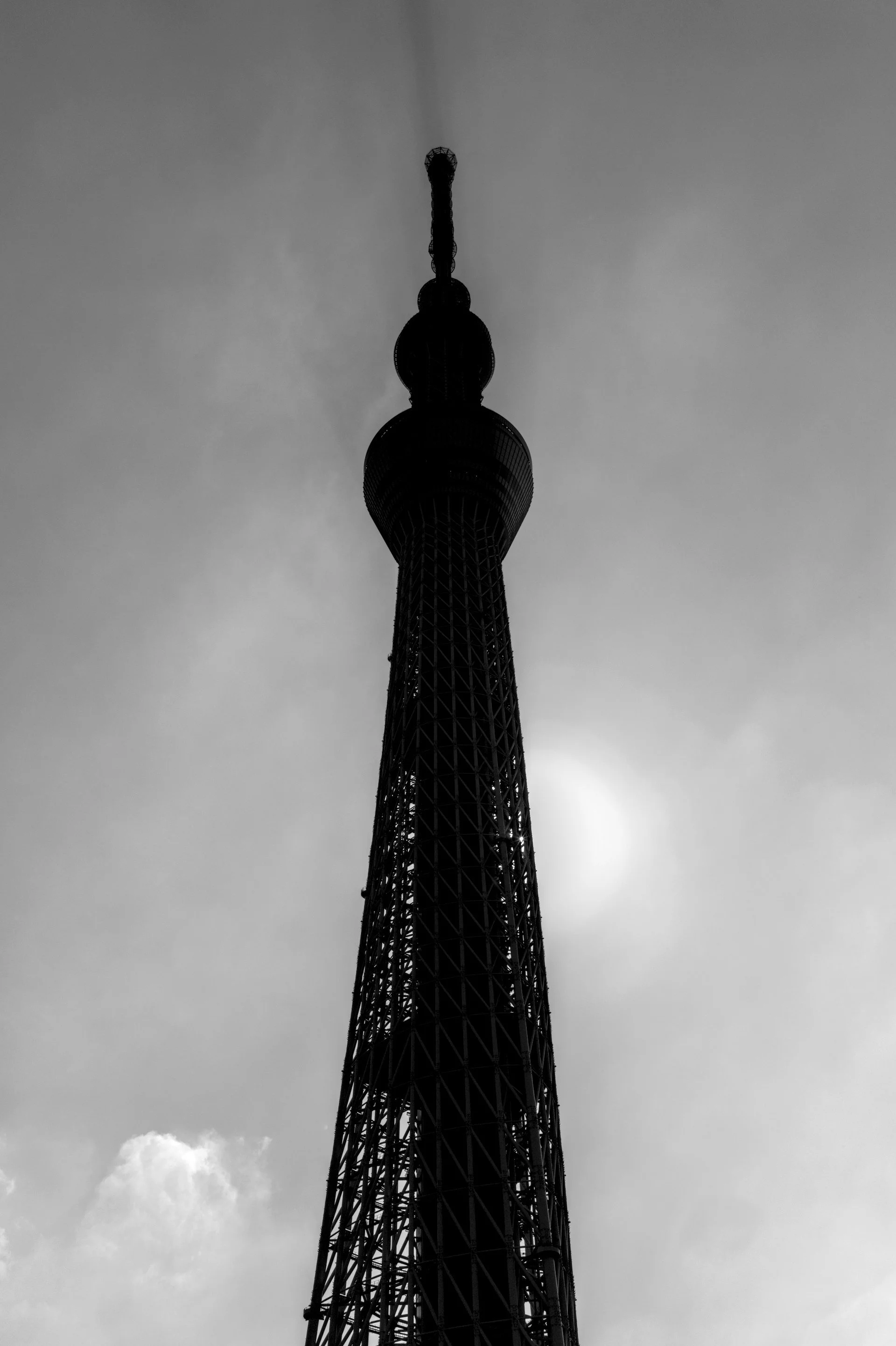 L1001526.jpg