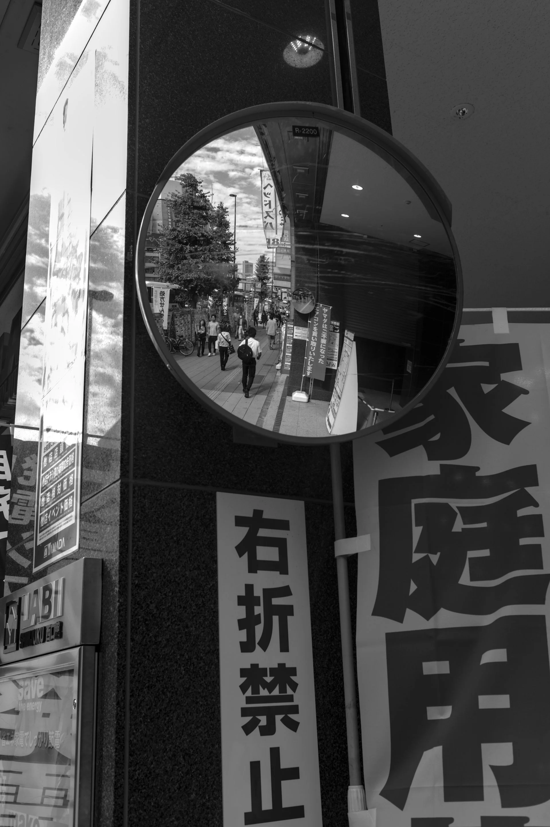 L1000517.jpg