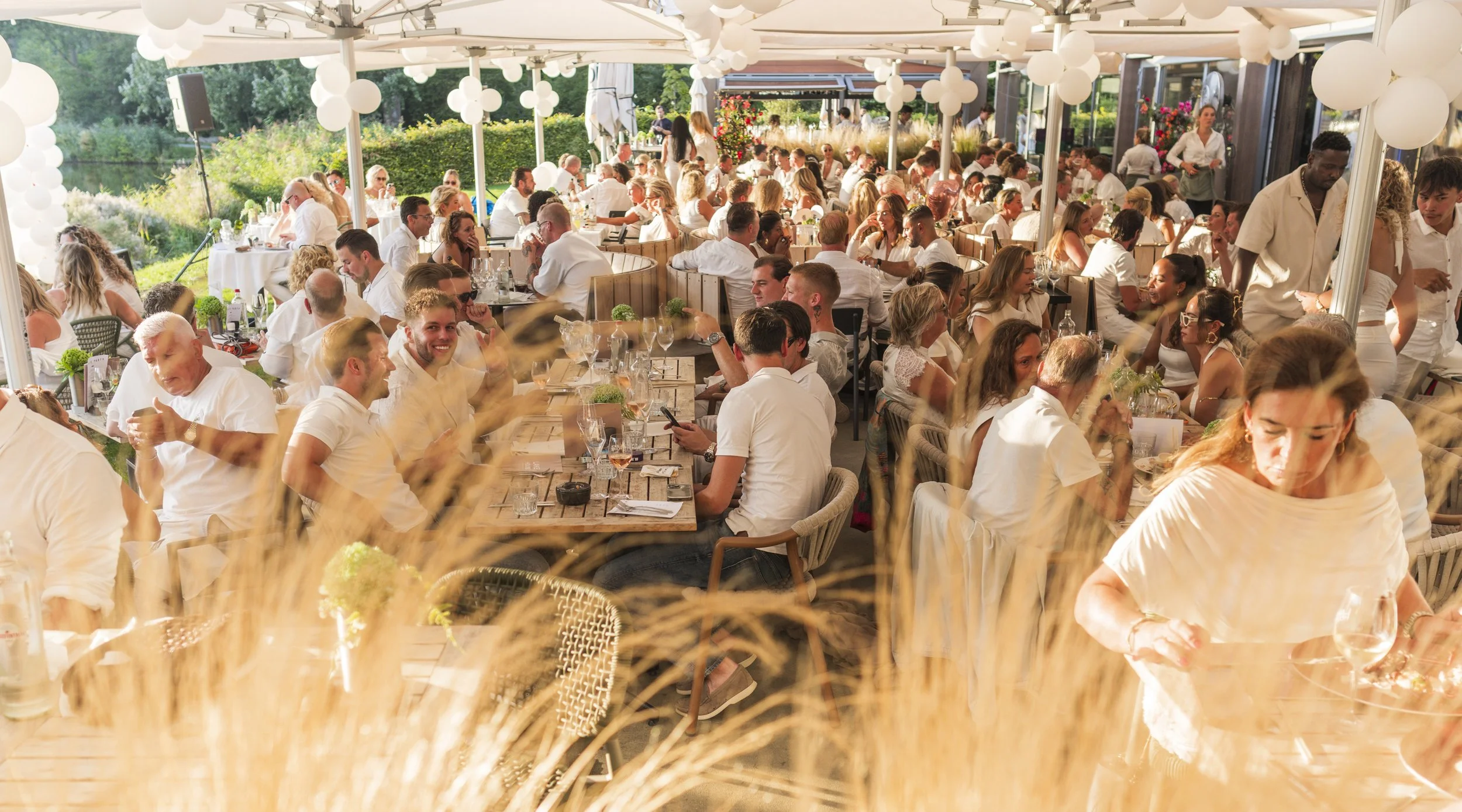 Grote groep mensen dining in openlucht onder een witte tent, decoratie met witte ballonnen en bloemen, ze genieten van een maaltijd op een zonnige dag, met groen landschap op de achtergrond.