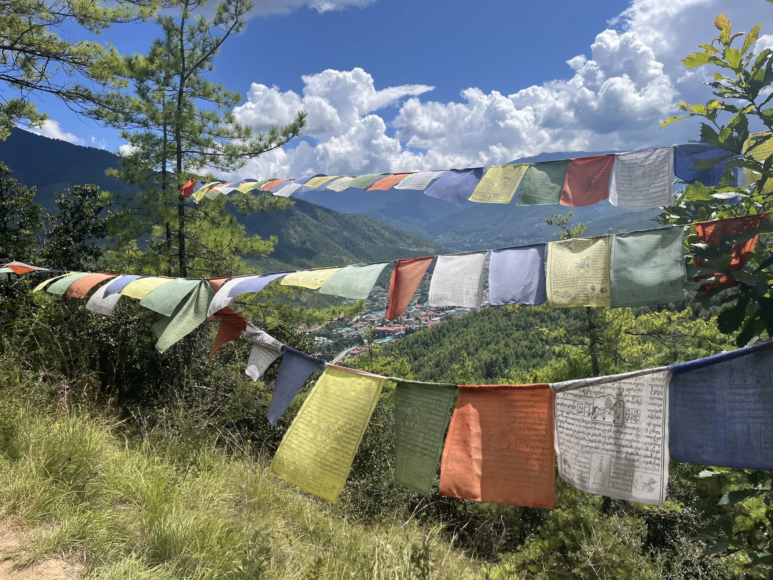 20250924_060530892_iOS (1).jpg