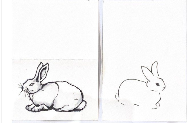 two rabbits as cards.jpg