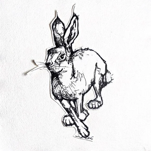 The dashing hare