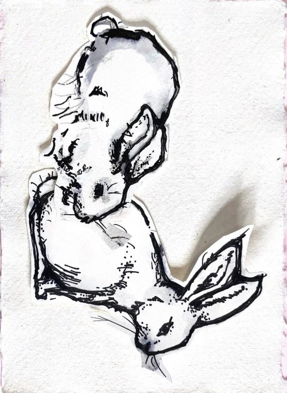 Two Bunnies, grazing and watching