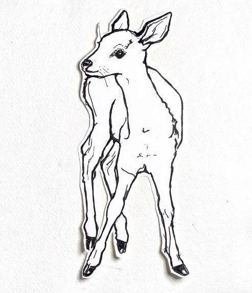 A glancing deer