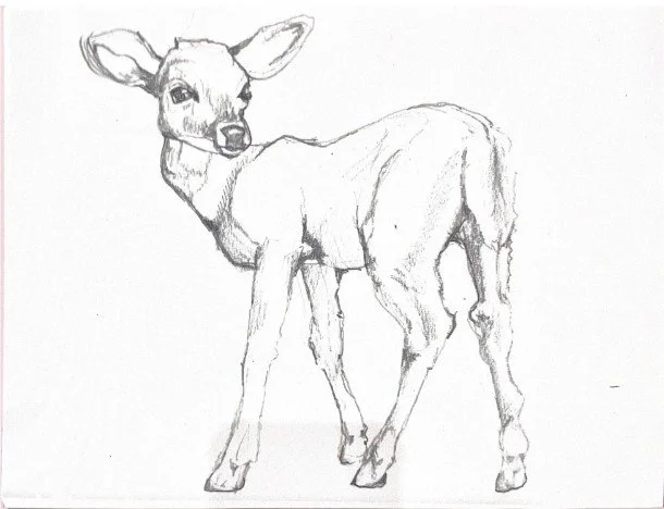 The Deer, Side profile