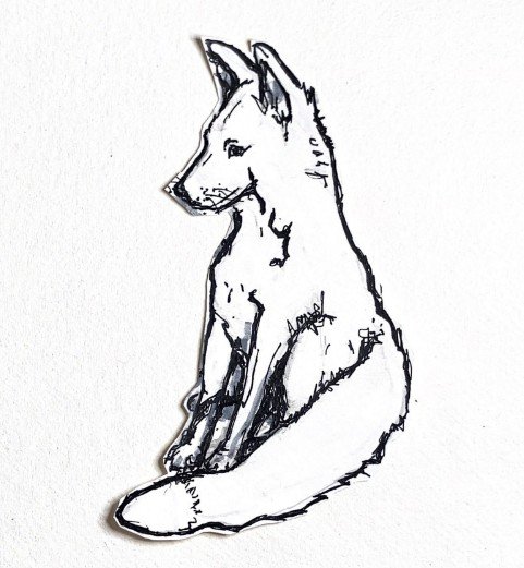 The seated Fox