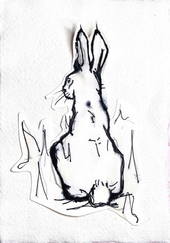 A rabbit glancing into the distance.