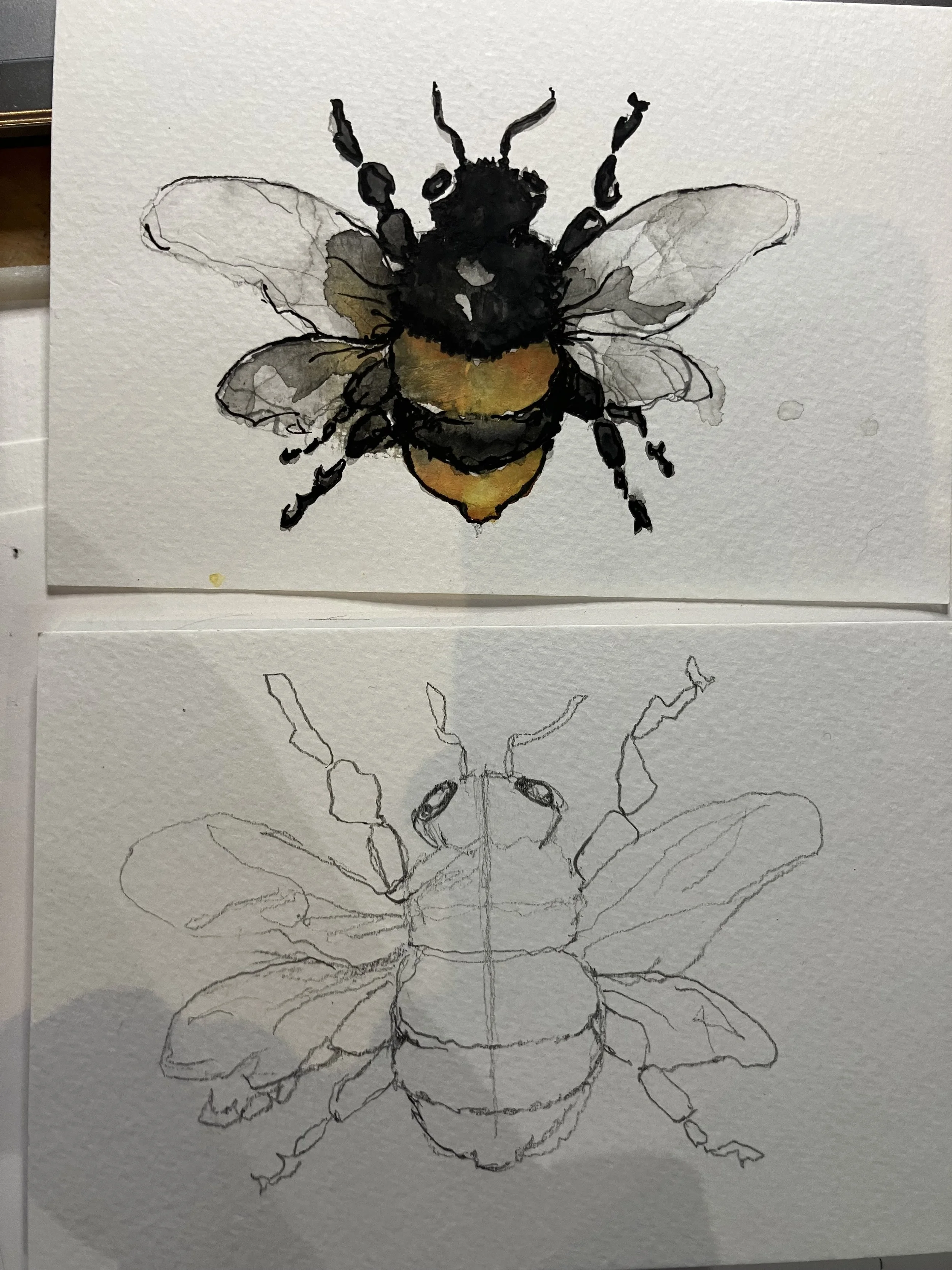 The Bee ( single large A4 Piece)