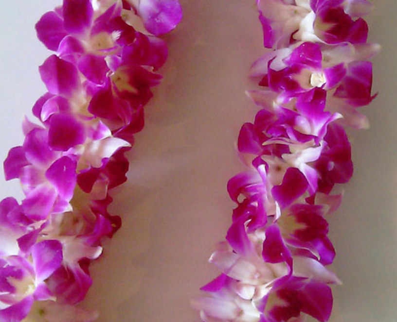 Double Orchid Lei