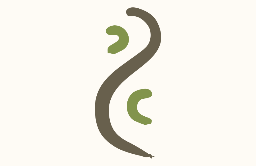 Cuando la muerte llega.