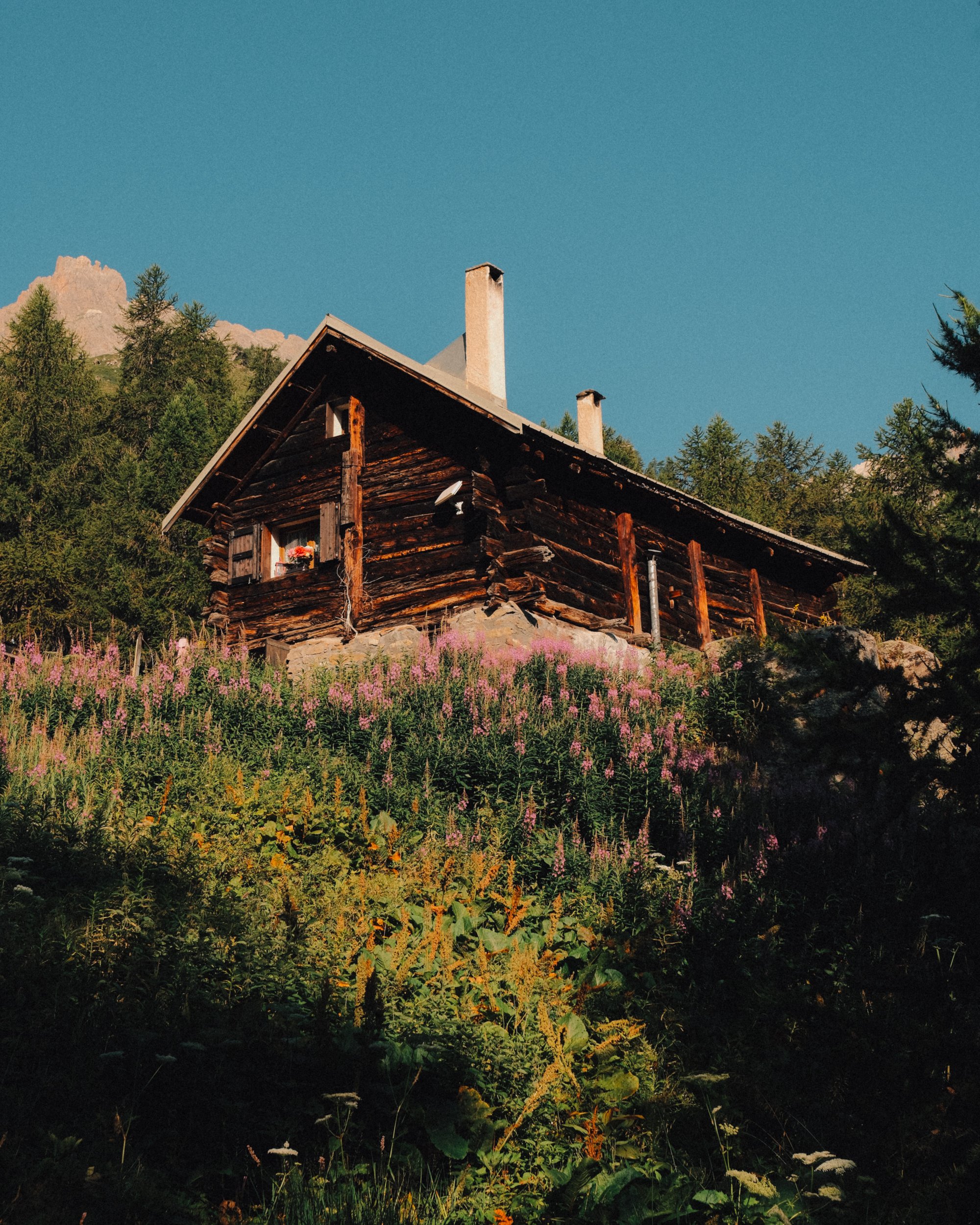Cabane en bois rustique sur une pente, entourée de fleurs violettes et de verdure, avec un ciel bleu clair en arrière-plan. Paysages, photo, montagne, rando, randonnée, sport, outdoor, exposition, massif des cerces