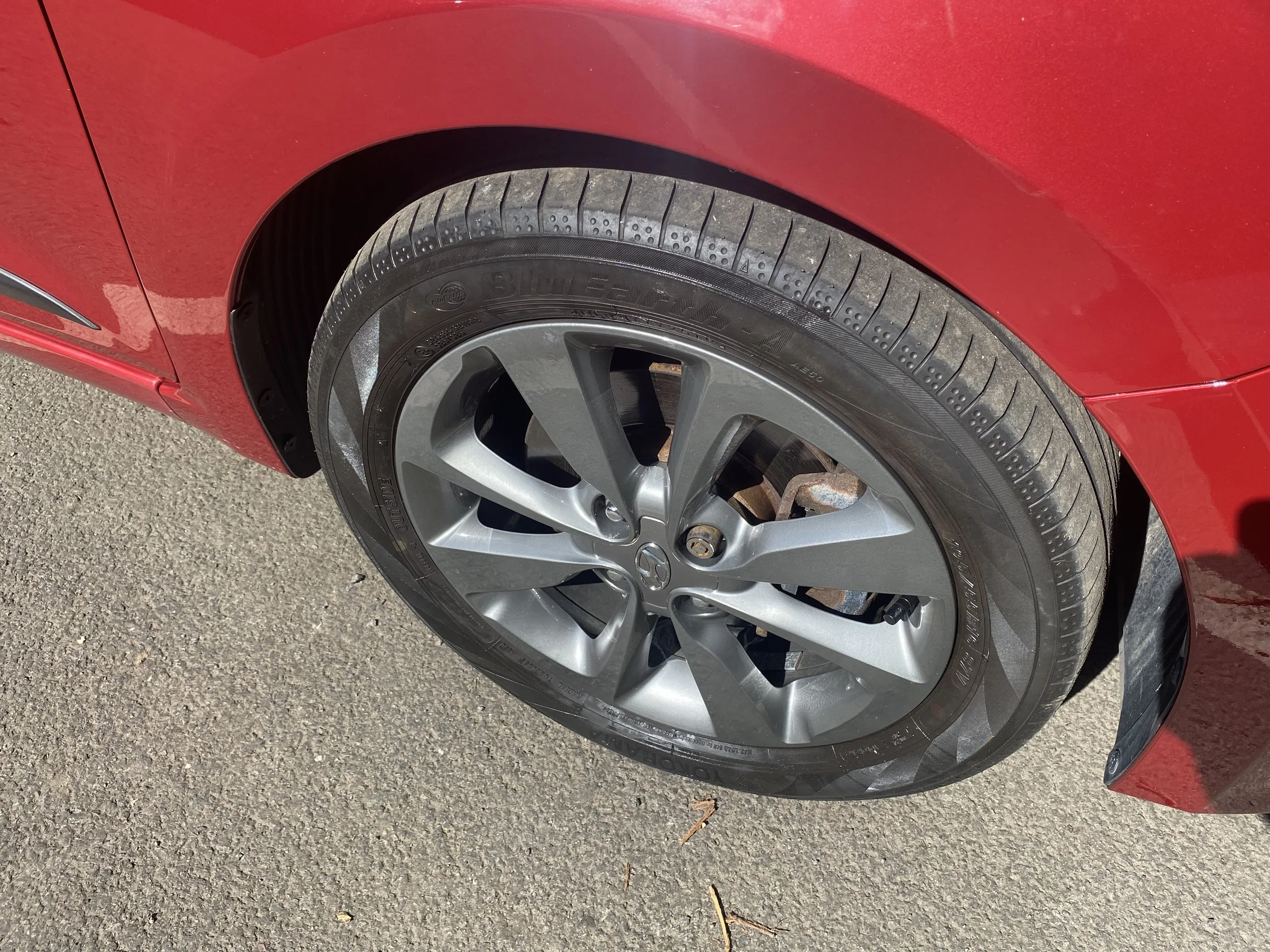 IMG_7118.jpeg