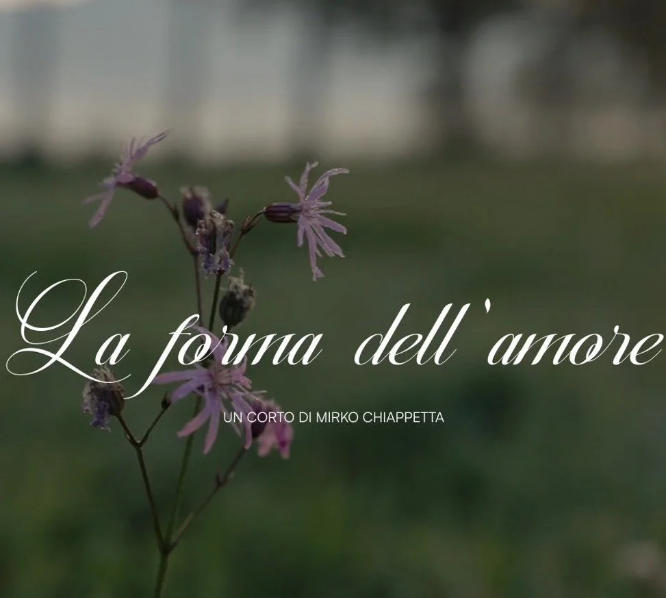 Copertina di un cortometraggio intitolato 'La forma dell'amore' di Mirko Chiappetta, con uno sfondo di un fiore di colore viola rosa.