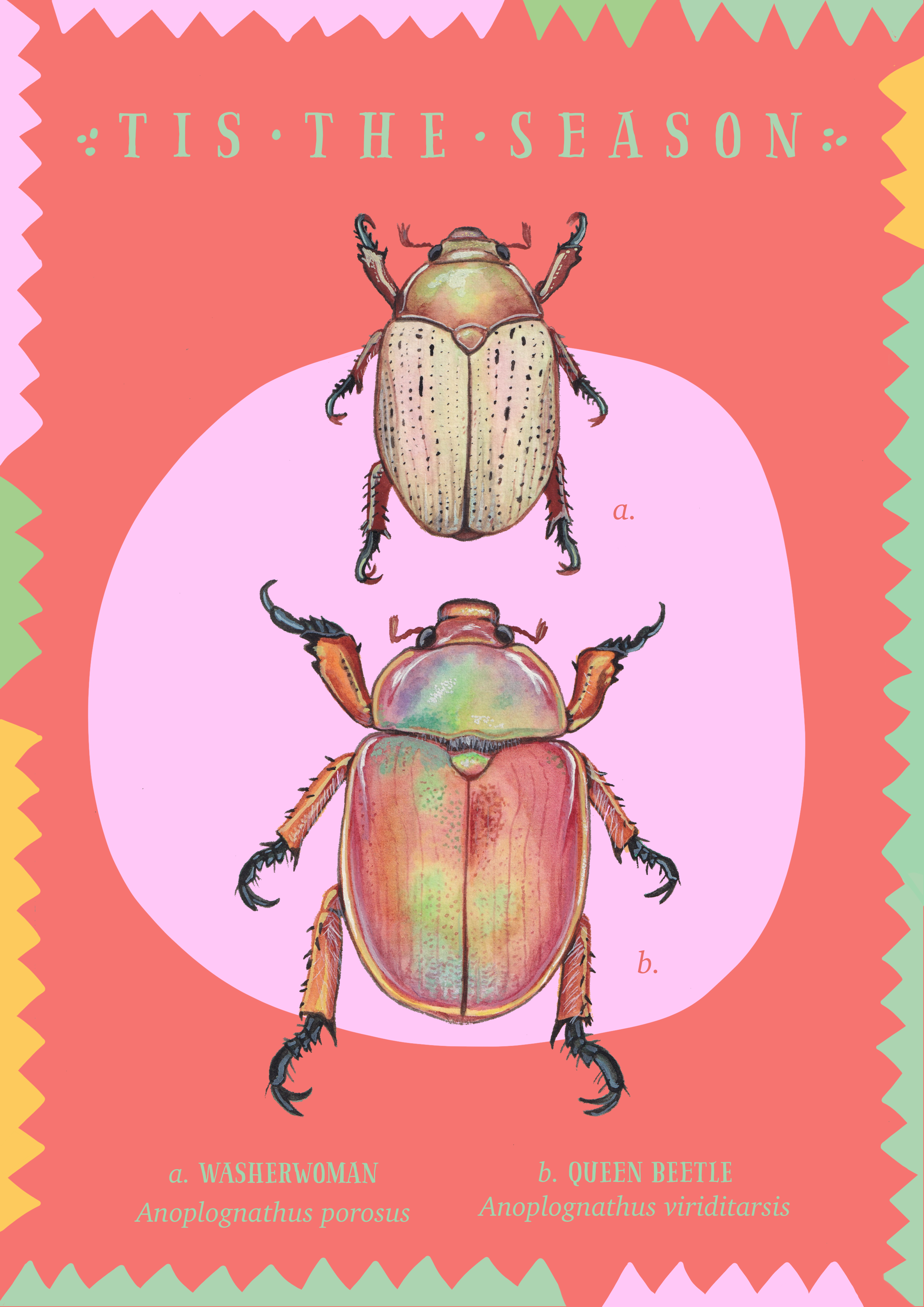 beetles red.png