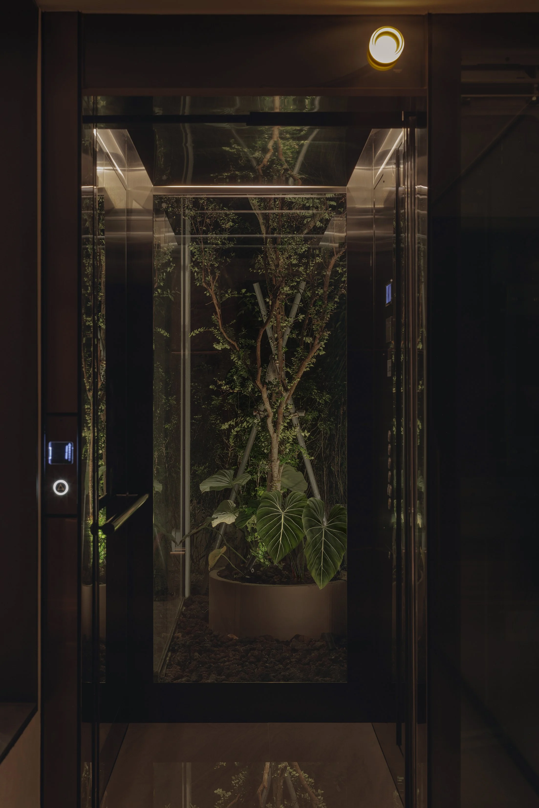 Residential Landed, Intermediate Terrace Architecture Goldhill Rise Escalator