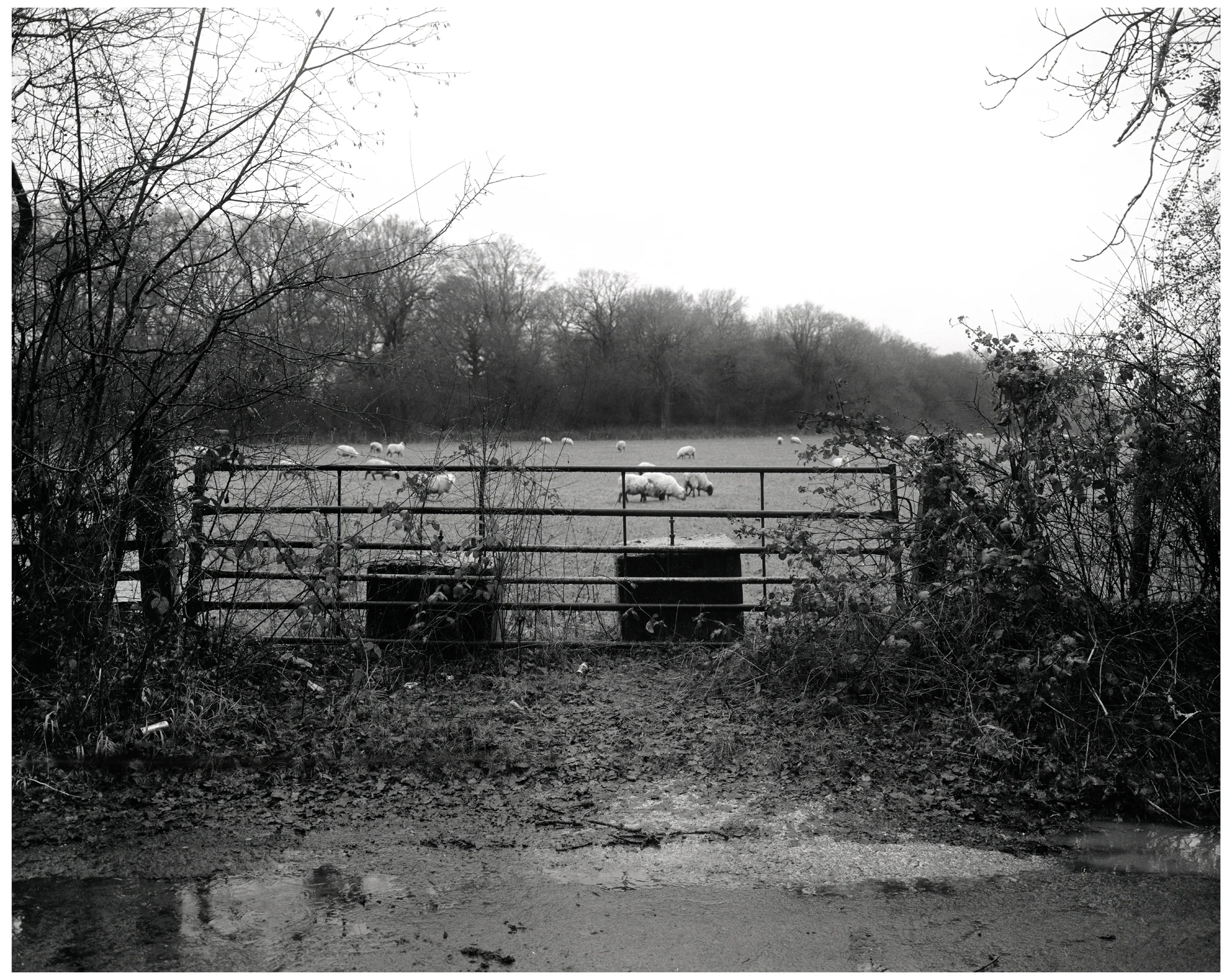 BOUNDARY_LANE_03_03_02_16BIT.jpg