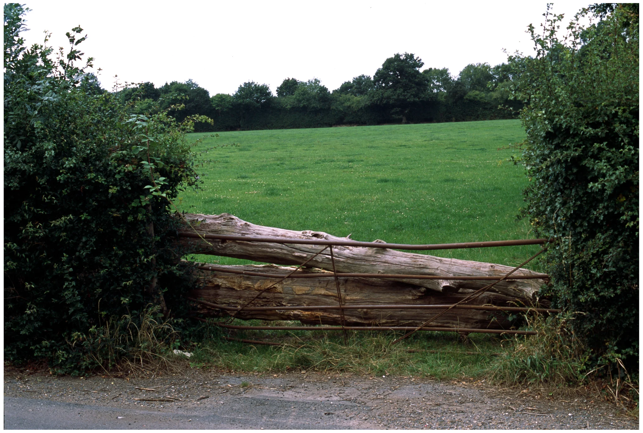 HORSHAM_01_01_01.jpg