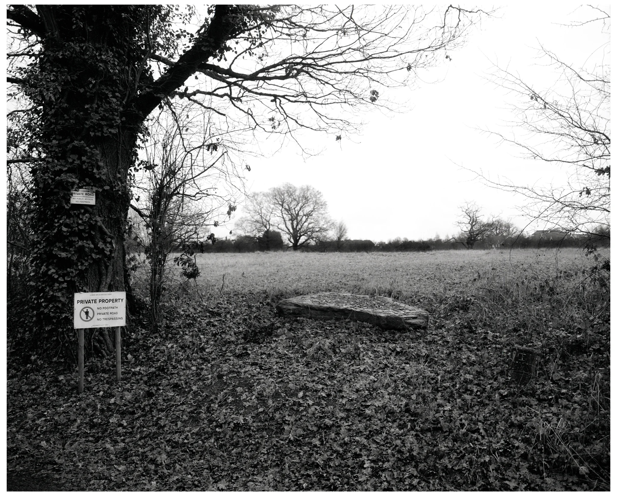 BOUNDARIES_03_02__01_16BIT.jpg