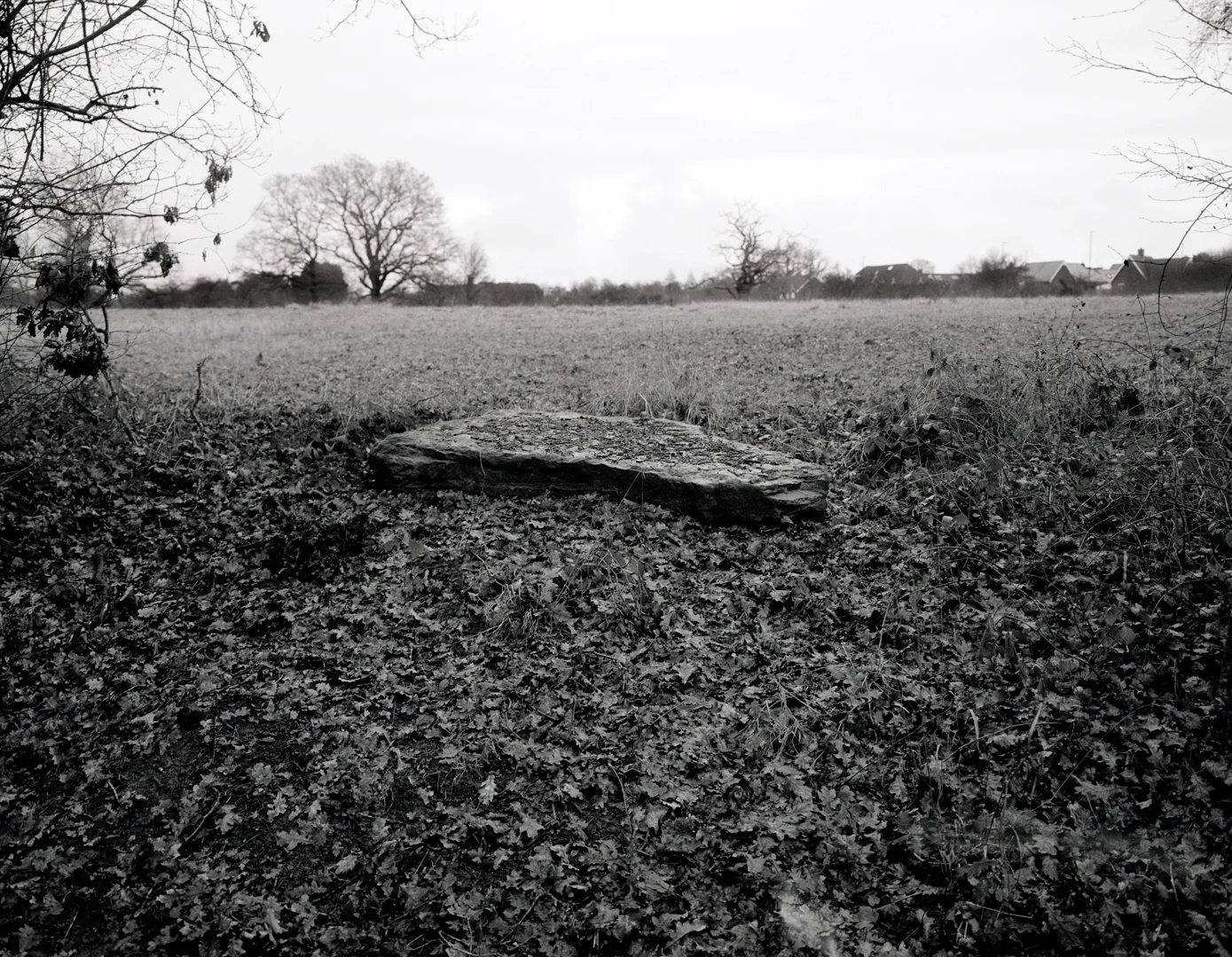 BOUNDARY_LANE_01_01_16BIT_1.jpg
