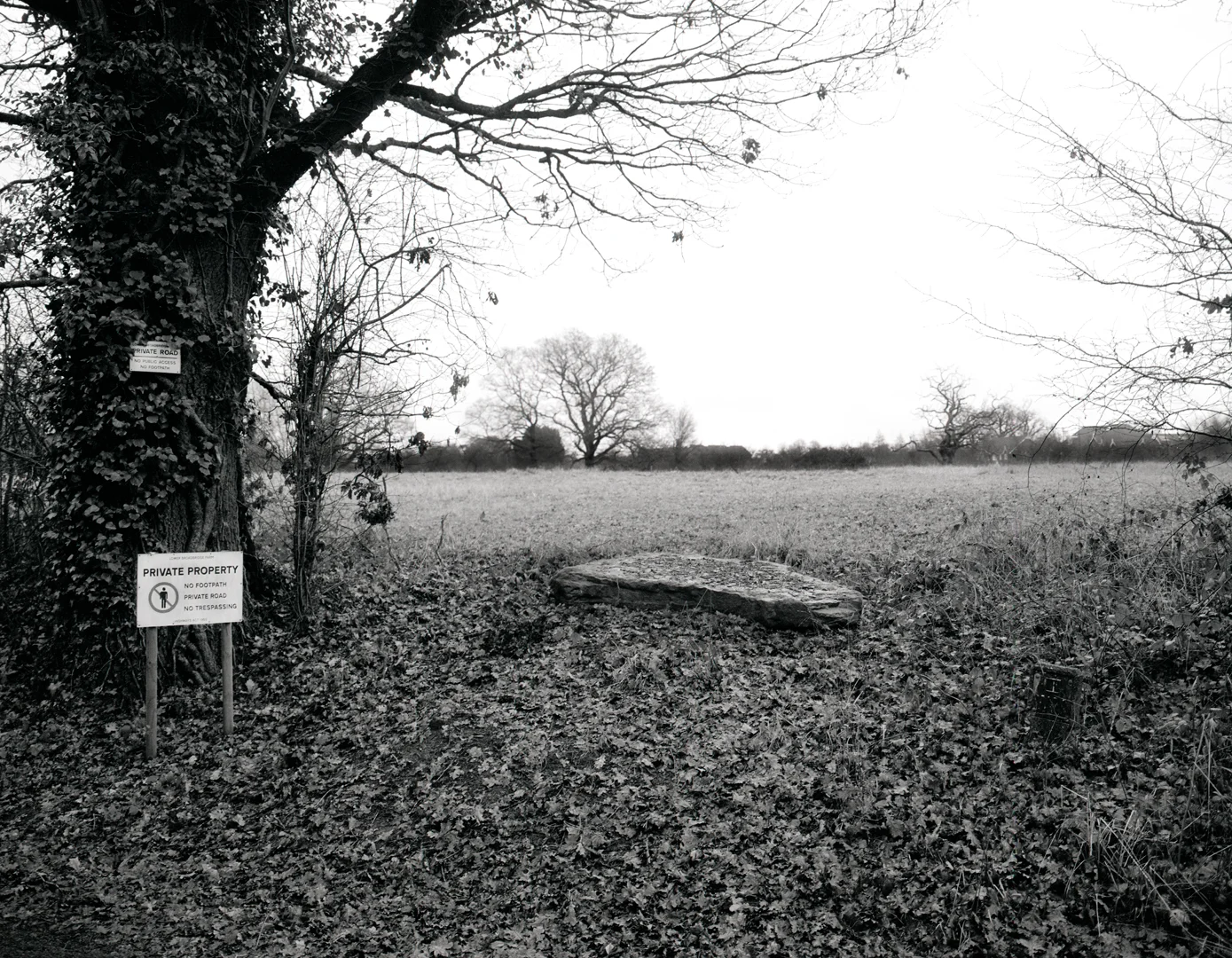 BOUNDARIES_03_02__01_16BIT_1.jpg