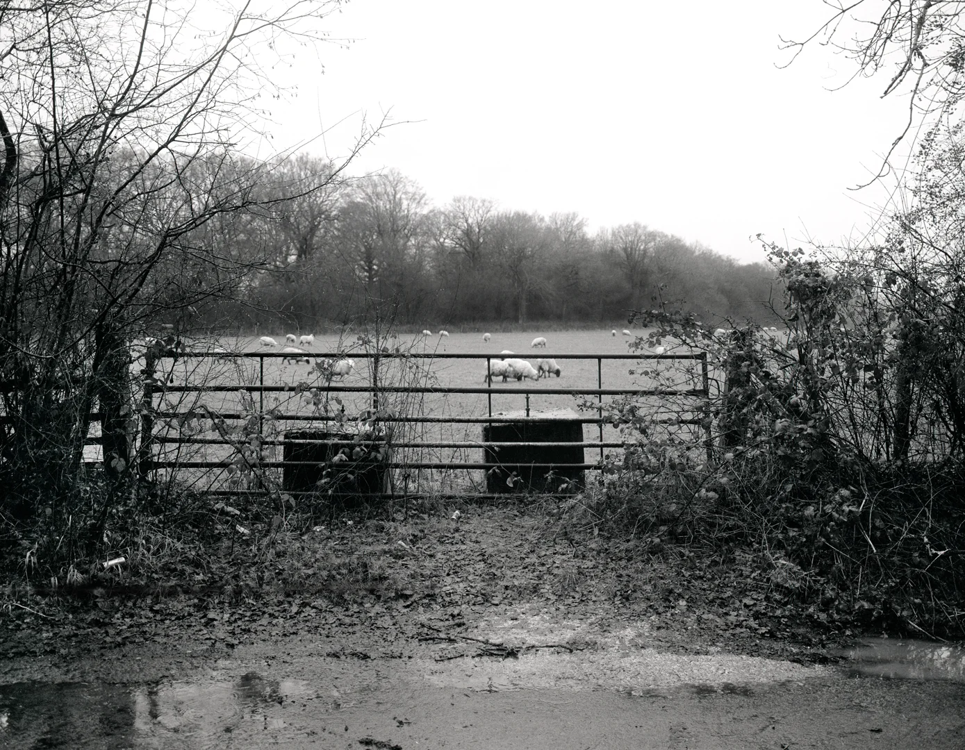 BOUNDARY_LANE_03_03_02_16BIT_1.jpg
