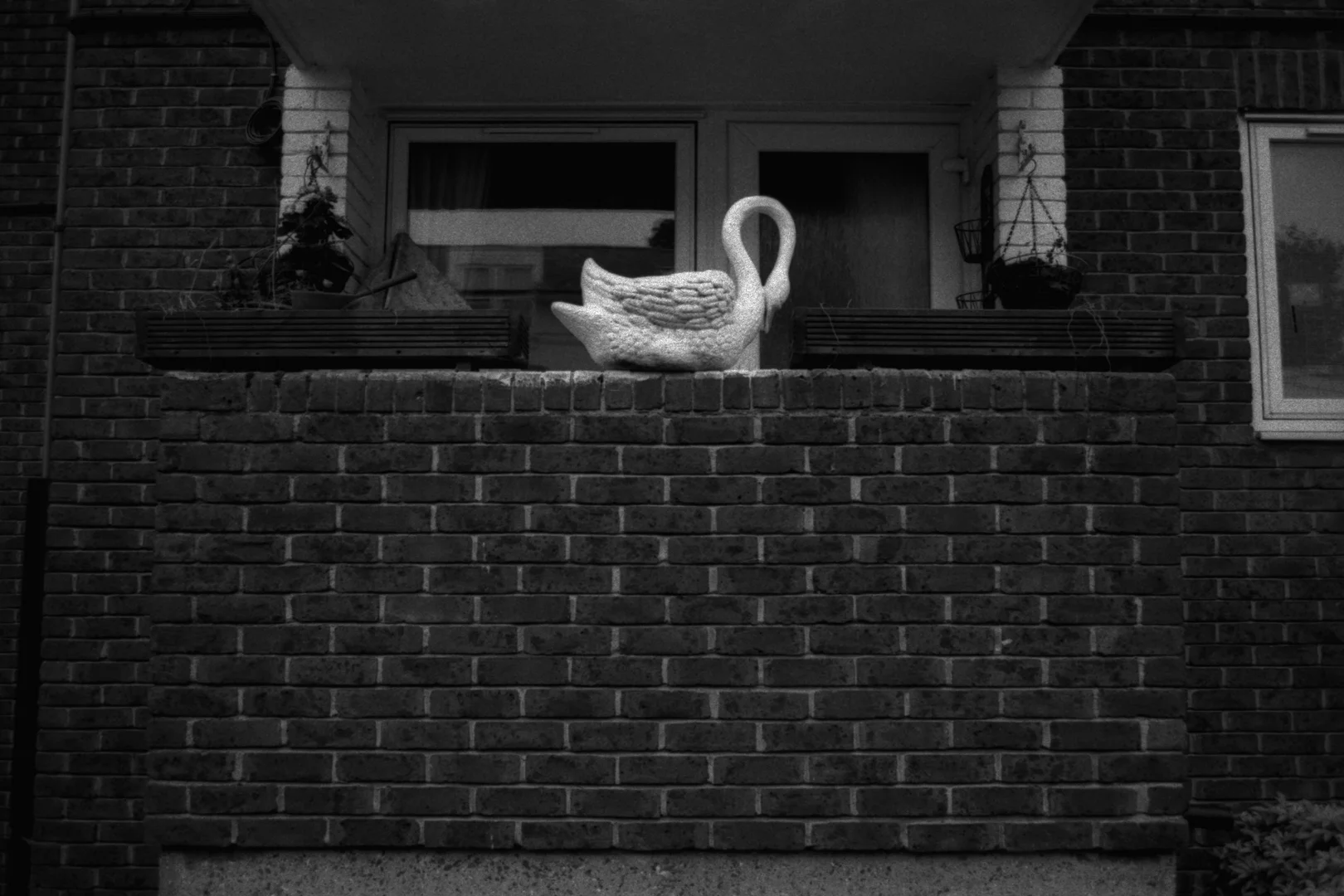 Swan, London, 2018