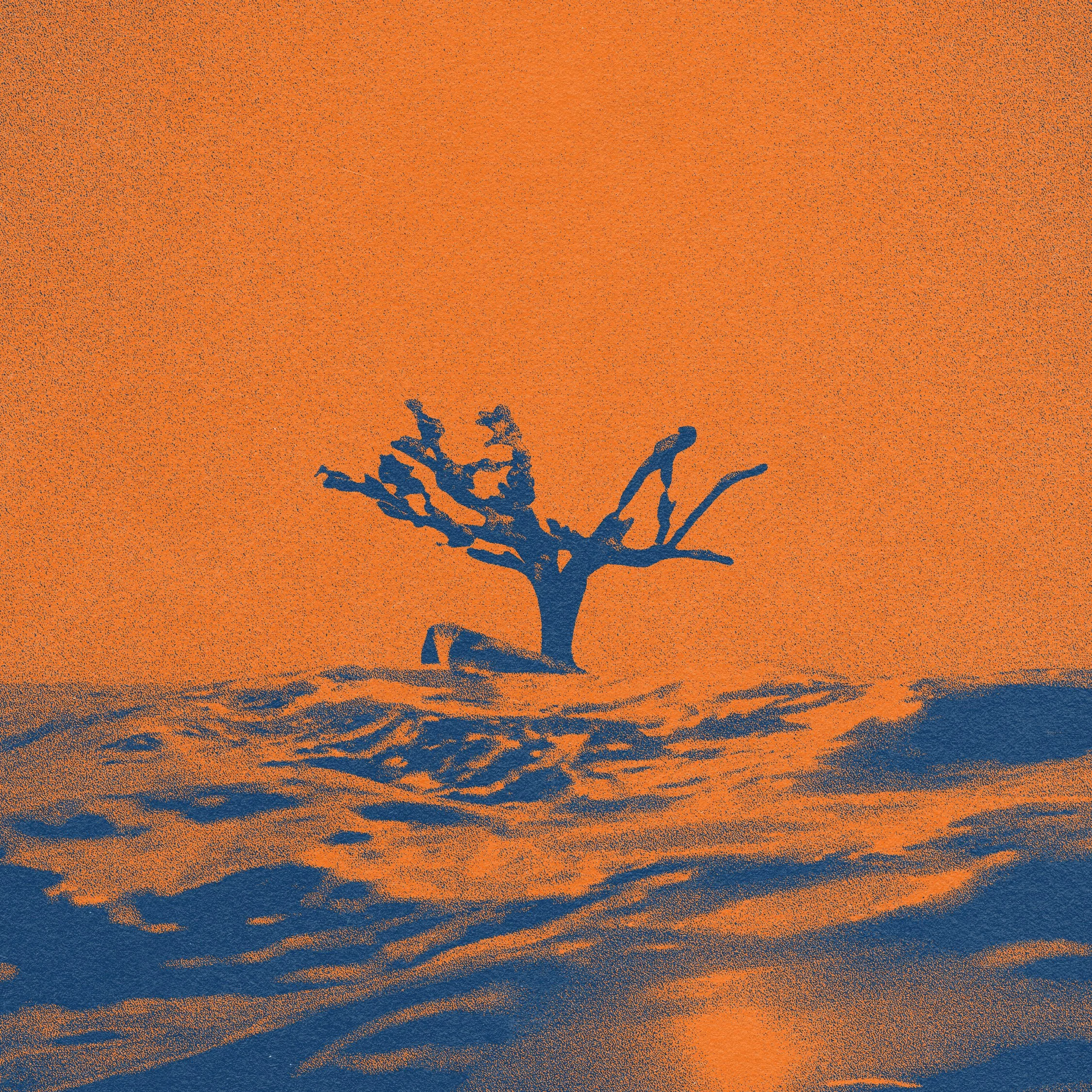 SINGLE_03_SQ_DIFFUSION_HUESHIFT_07_INVERT_FLAT.jpg