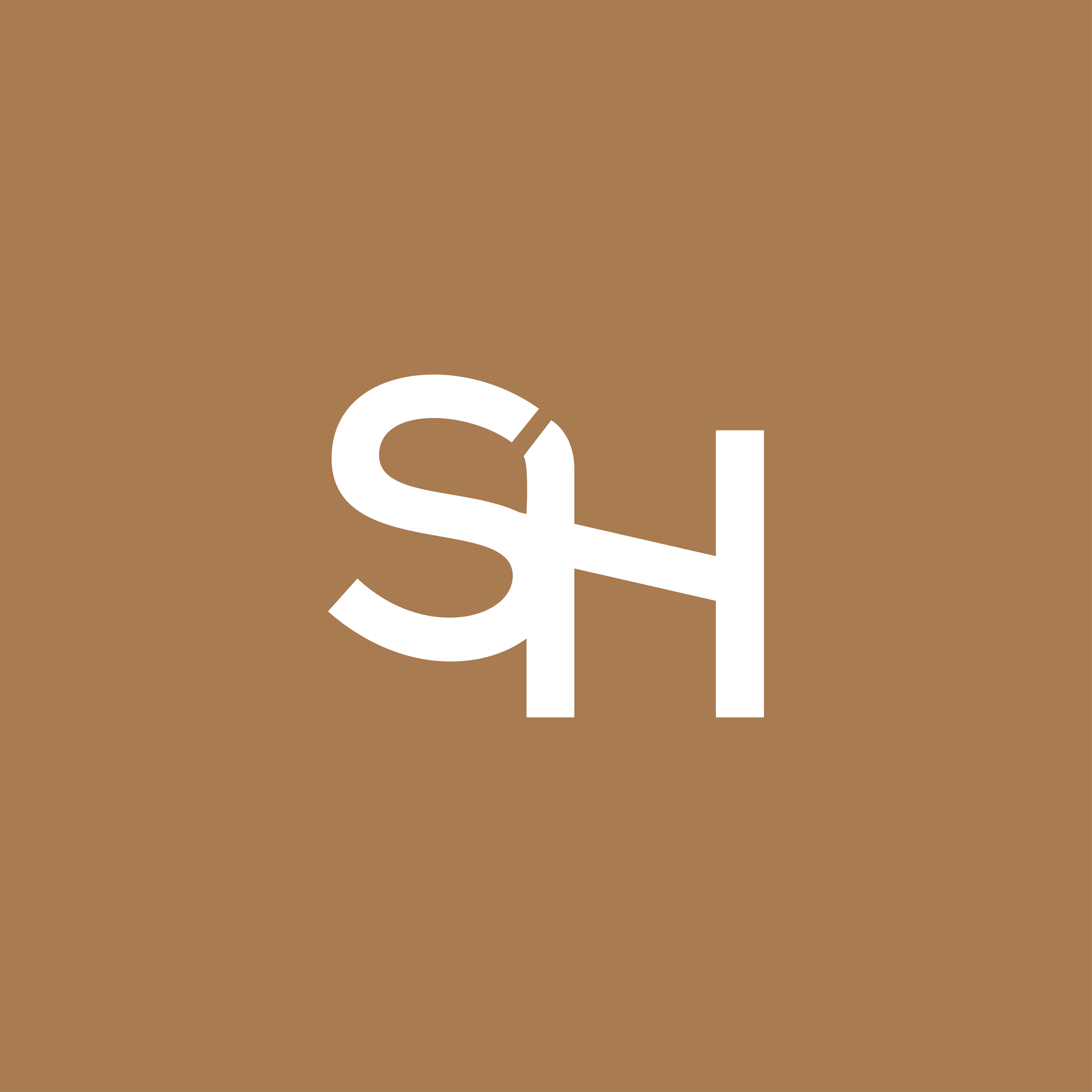 scene-hair-logo-04.png