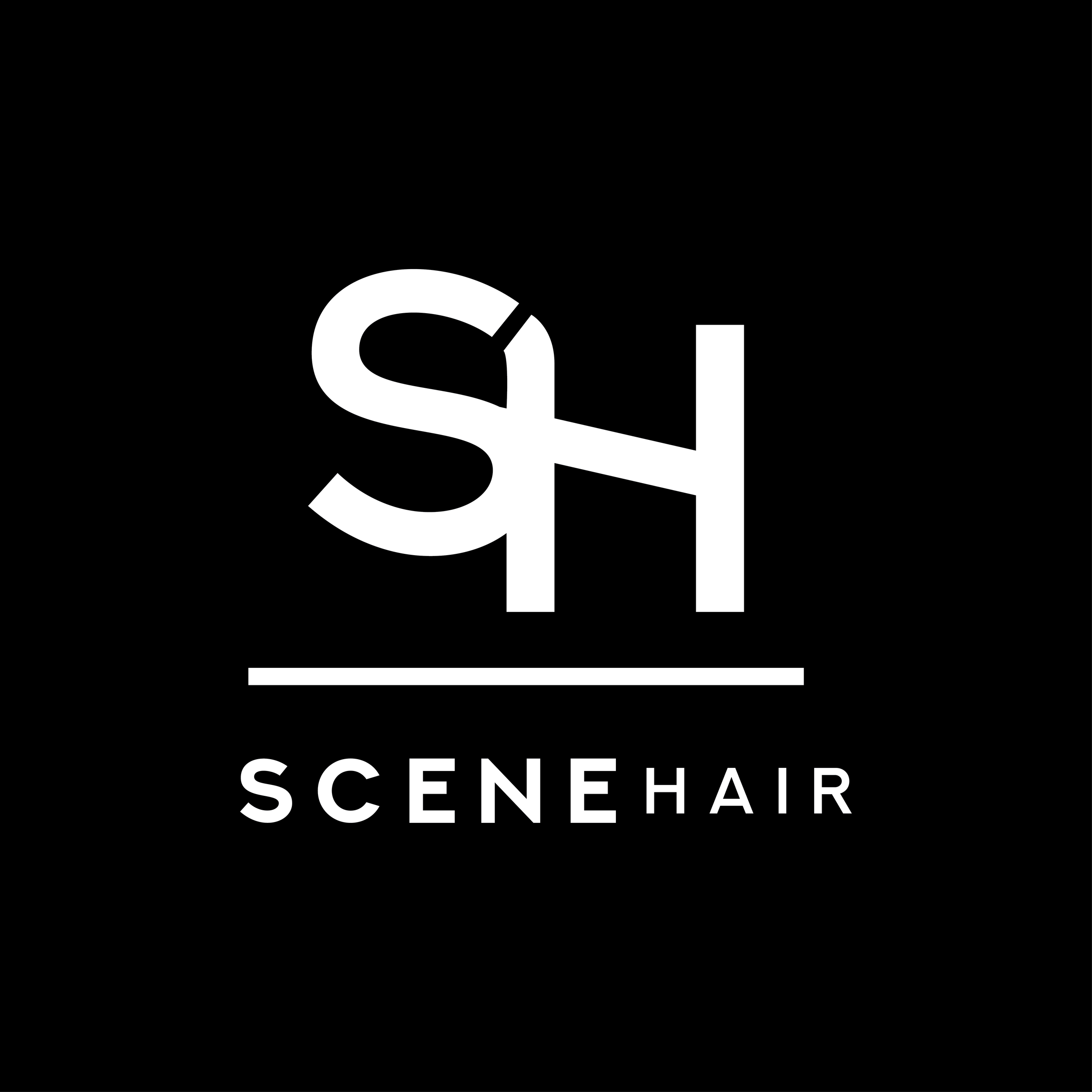 scene-hair-logo-01.png