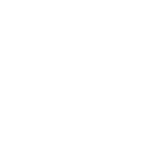 SBS logo with lightning bolt and the letters 'SBS' in white on a black background.