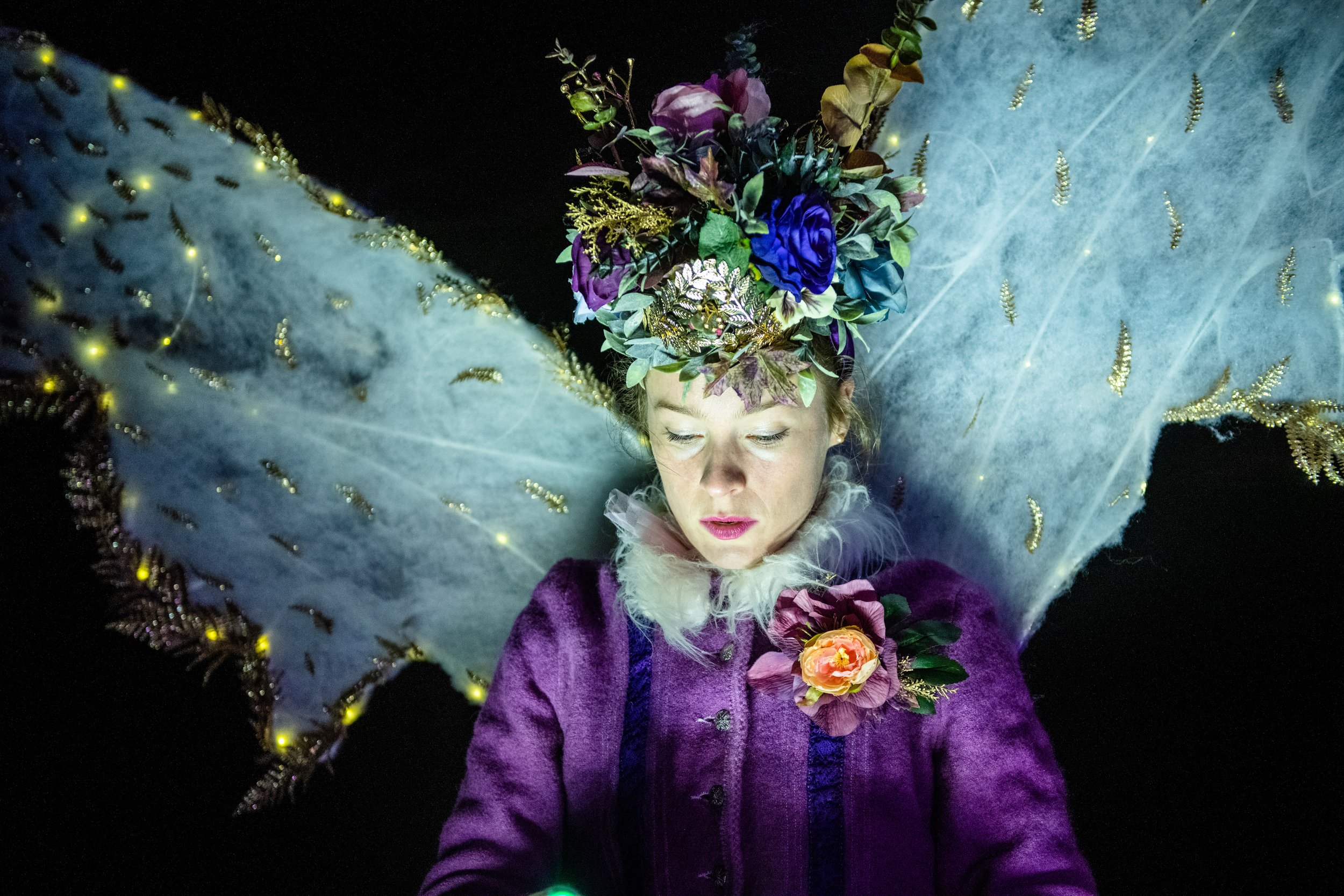 A Christmas Fairy Trail | Archerfield